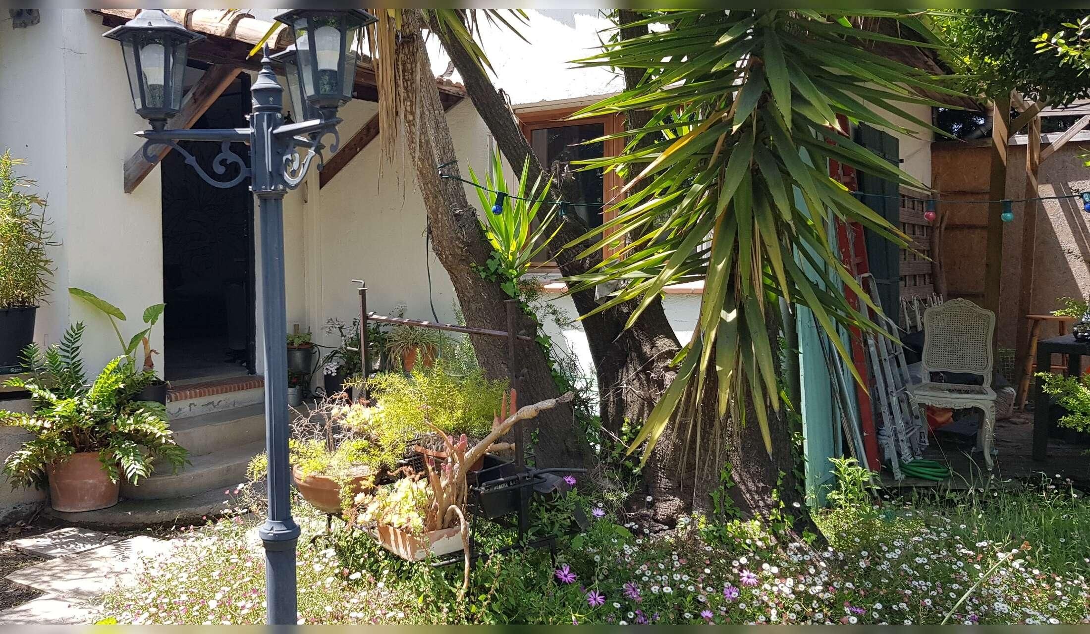 Dog sits in Antibes – Dog and house to sit  (October 22 to November 2 2026) - Image 3