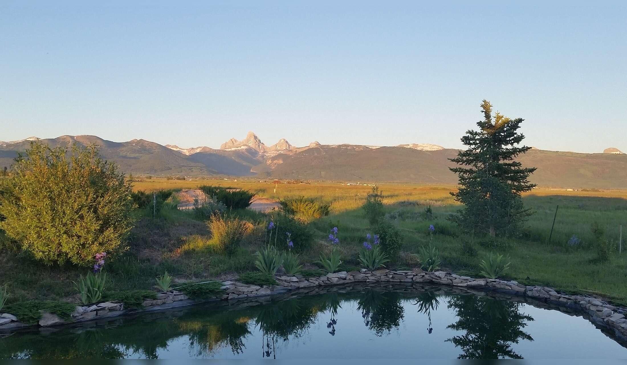 Autumn house sitting opportunity by Grand Teton National Park - Image 5