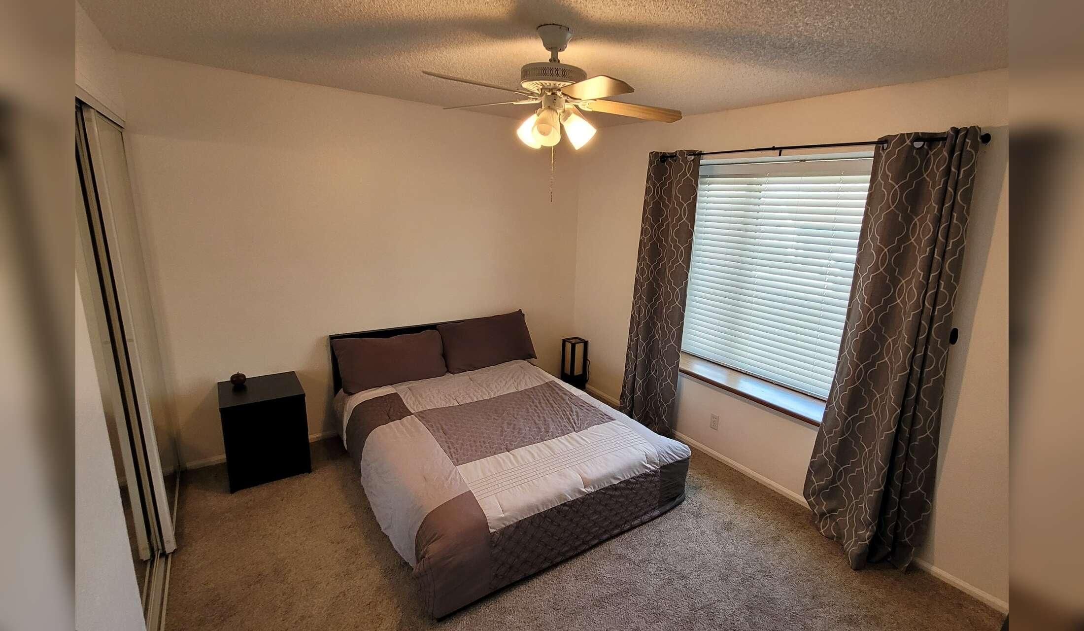 Looking for a house and cat sitter - Image 3
