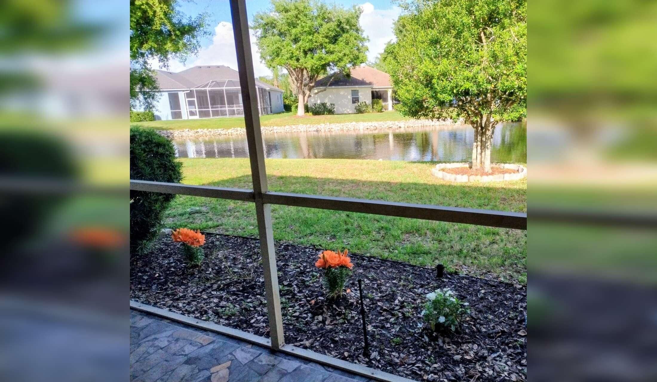 Home/Dog Sitter needed for Lakefront Home in Bradenton, FL - Image 9