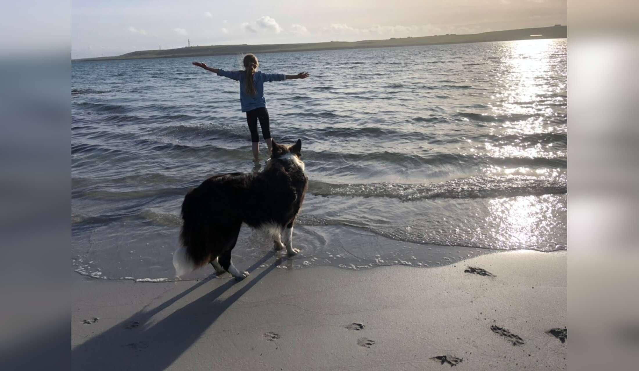 Orkney Islands - dog sit opportunity - Image 2