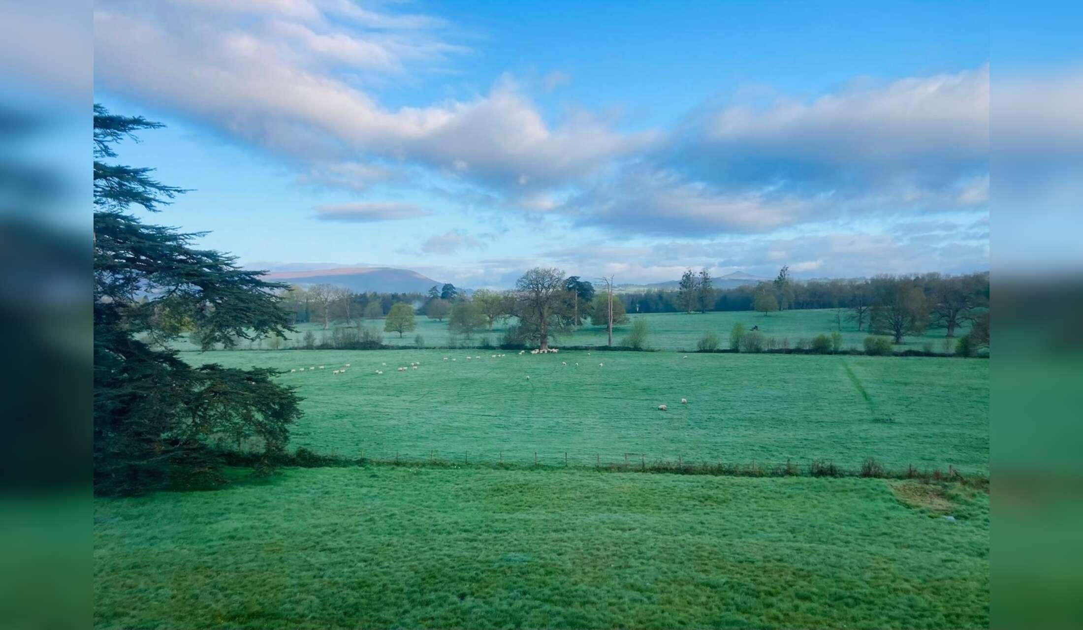 Comfortable home base in the Welsh countryside for a long-term housesitter - Image 2