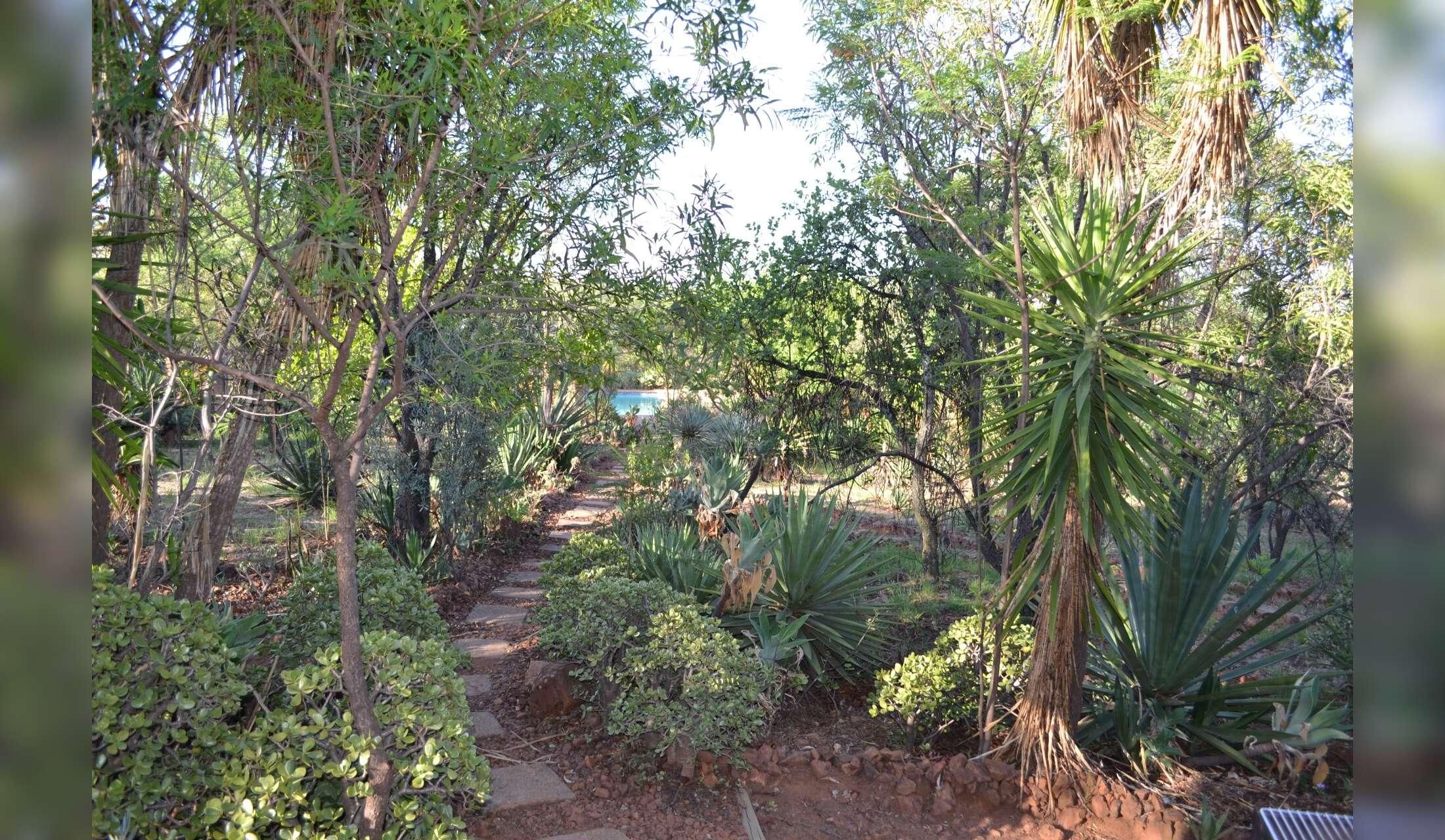 House sit in the african bush - Image 8