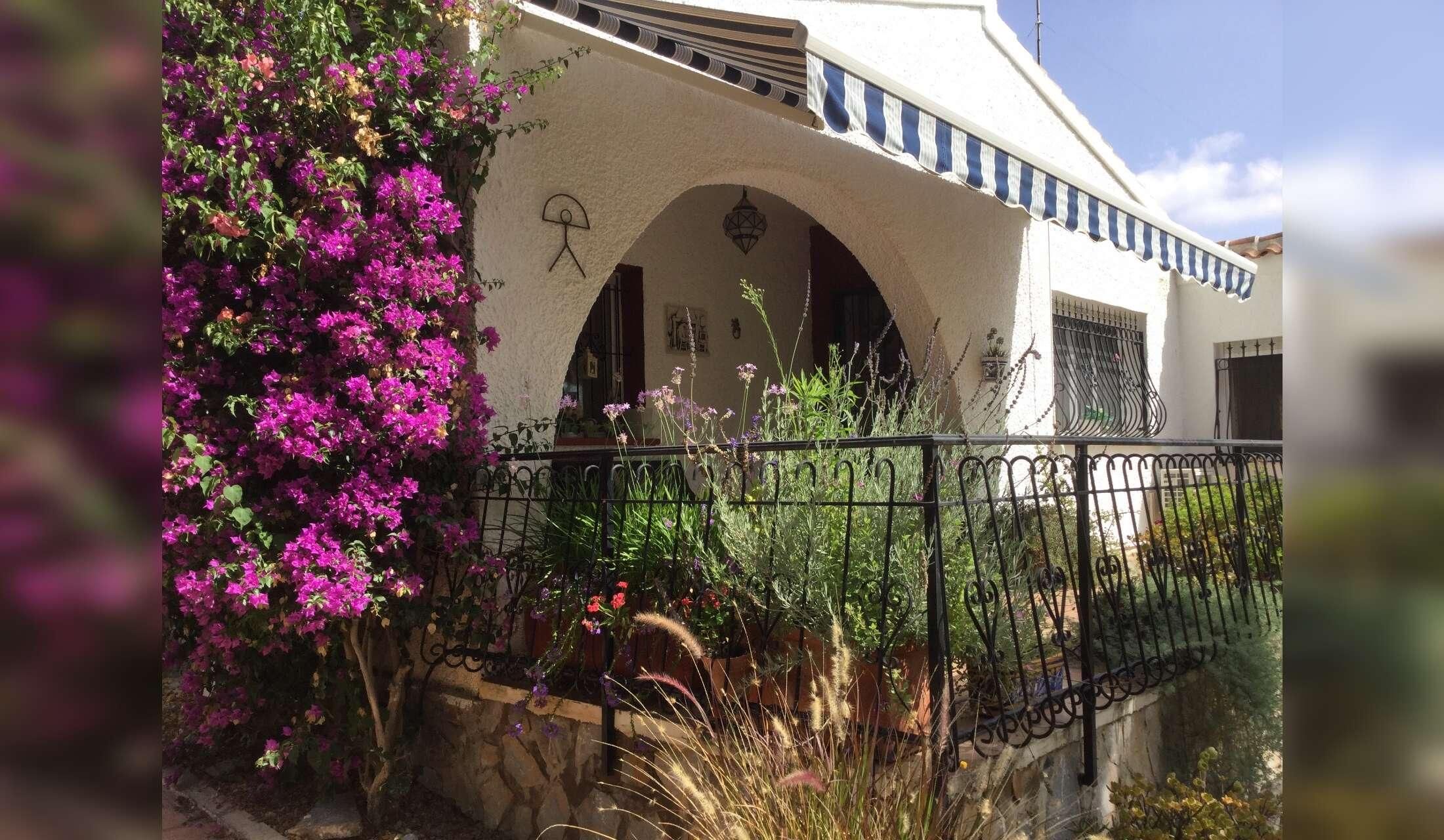 Costa Blanca kitties in comfy villa need replacement staff! - Image 6