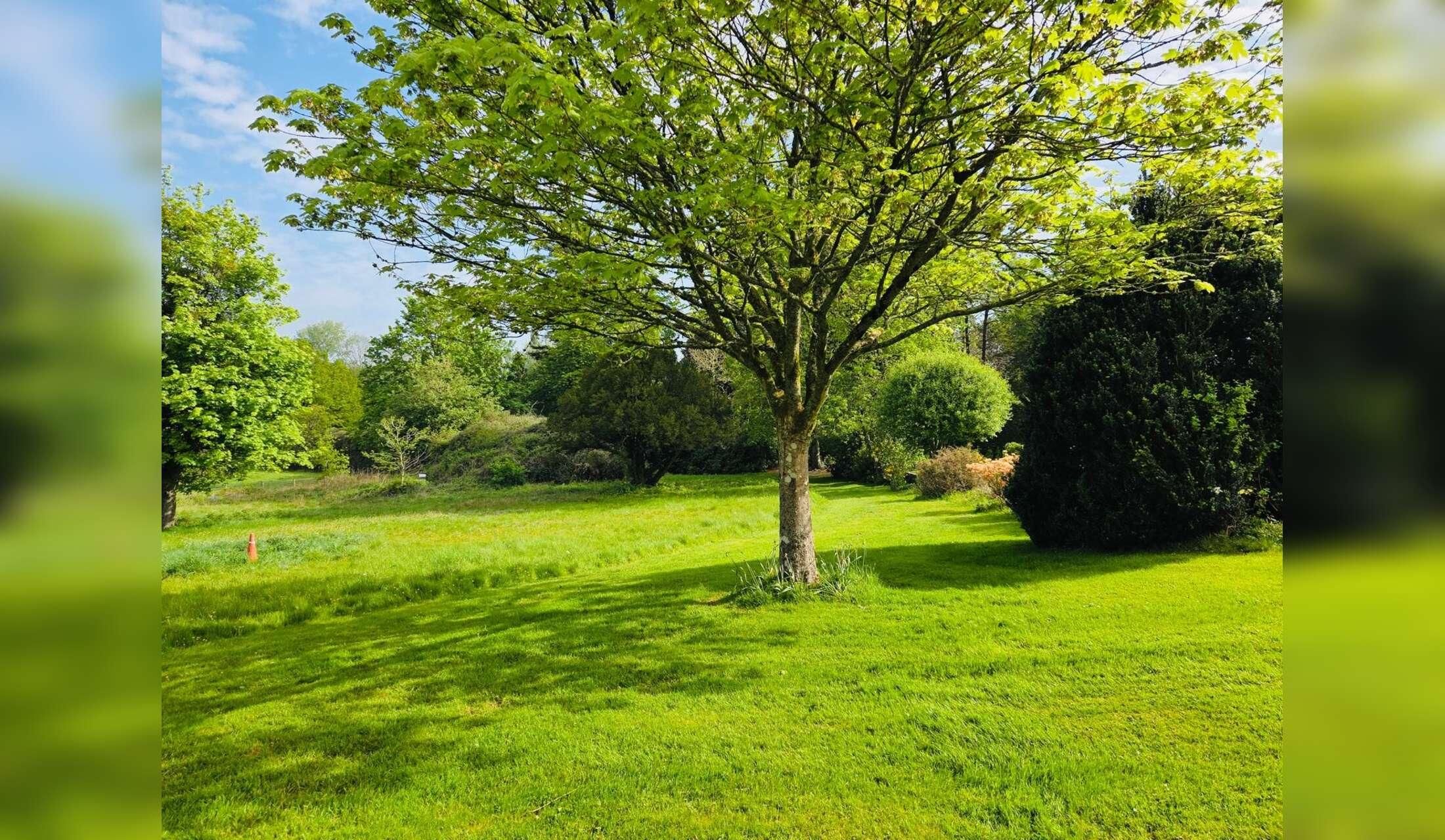 Comfortable home base in the Welsh countryside for a long-term housesitter