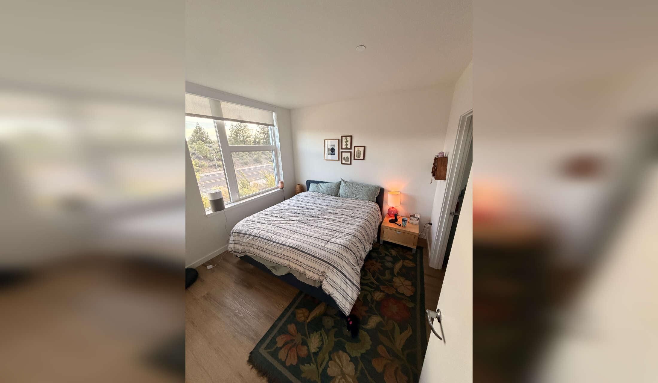 Cute Aussie in bright apartment on Bend's westside - Image 3