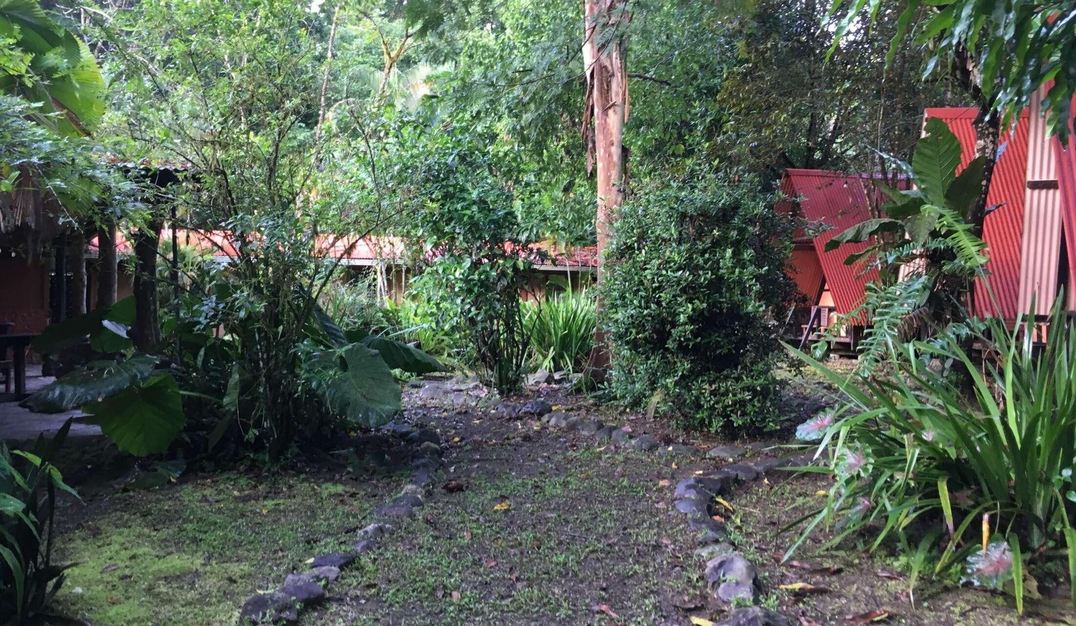 Looking for pet / house sitter for April 2027 in Costa Rica - Image 9