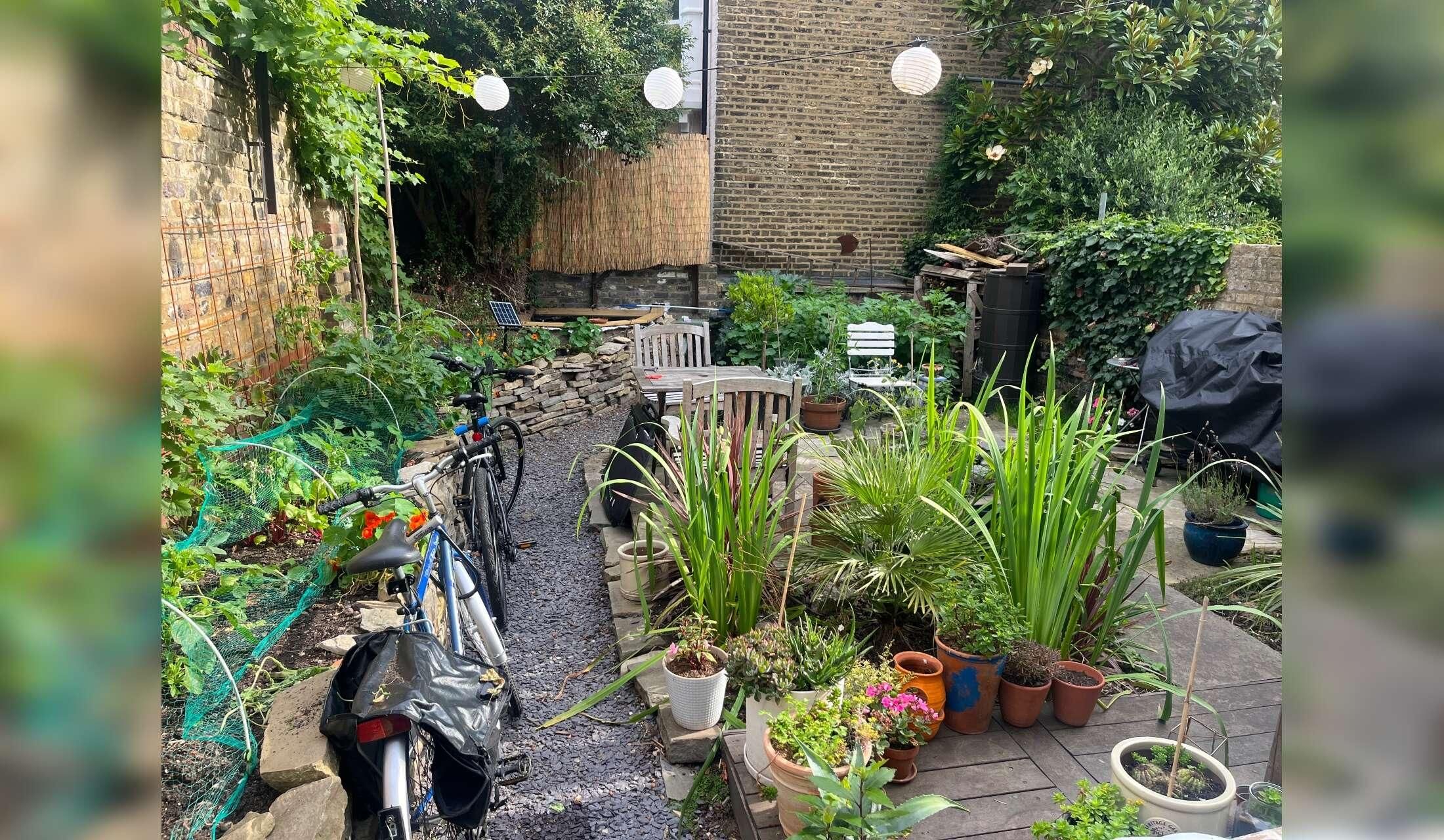 2 Cute Cats and a Fun Dog In Islington With Private Garden - Image 4