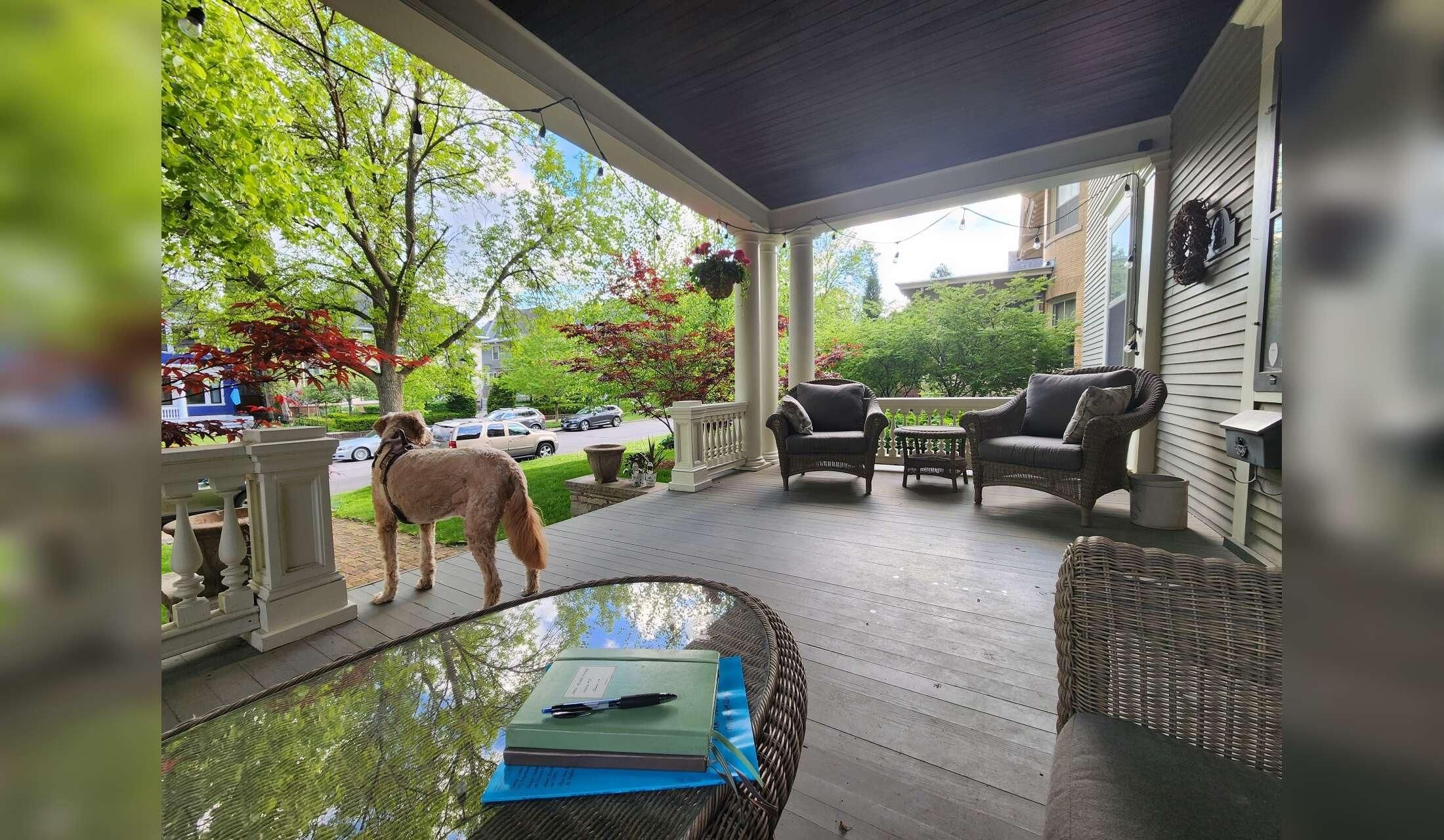 Victorian home with pets in quiet, leafy neighborhood in the city - Image 2
