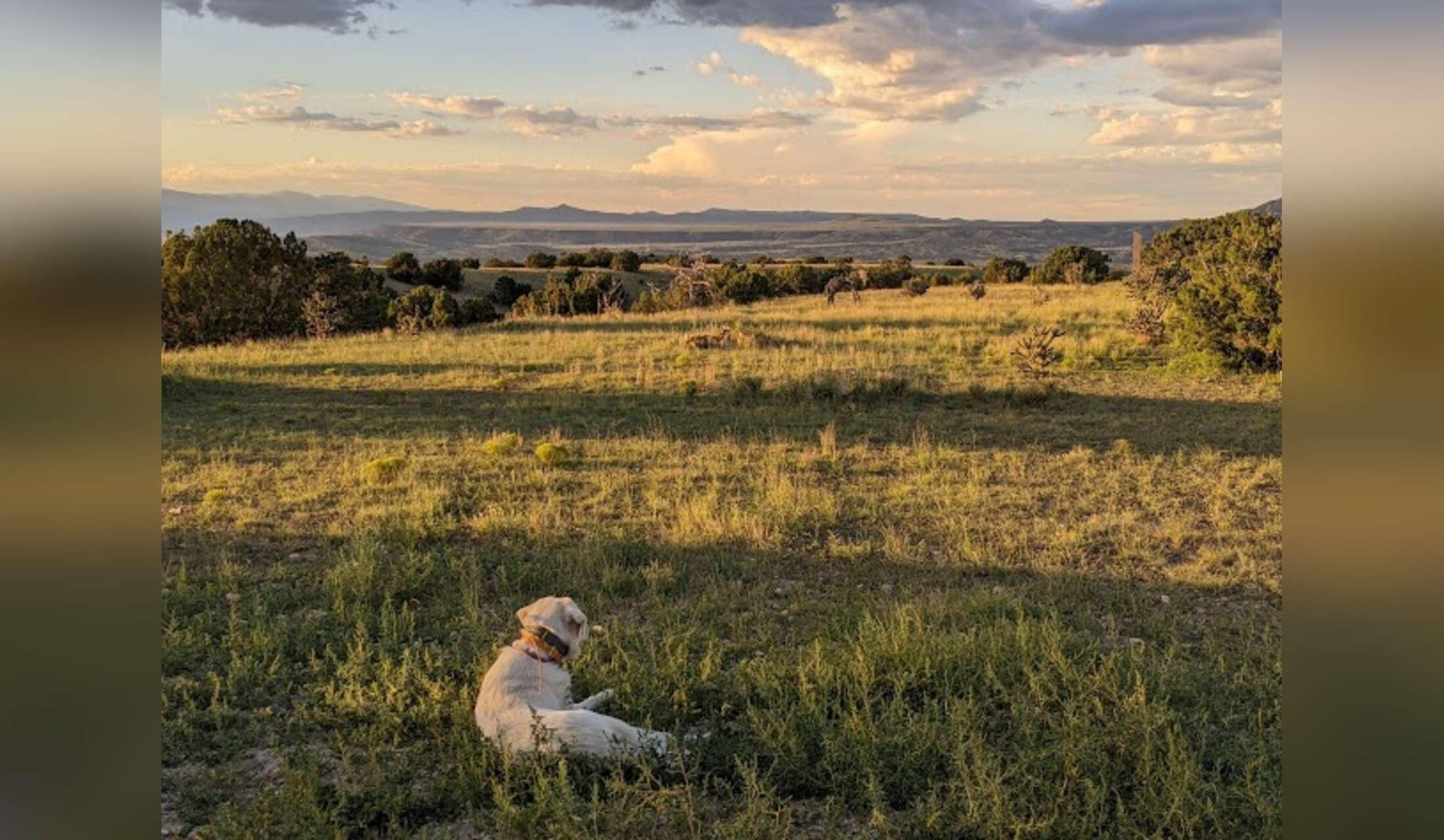 Off-Grid Awesome near Santa Fe & Albuquerque, NM!  Relax in the Land of Enchantment!