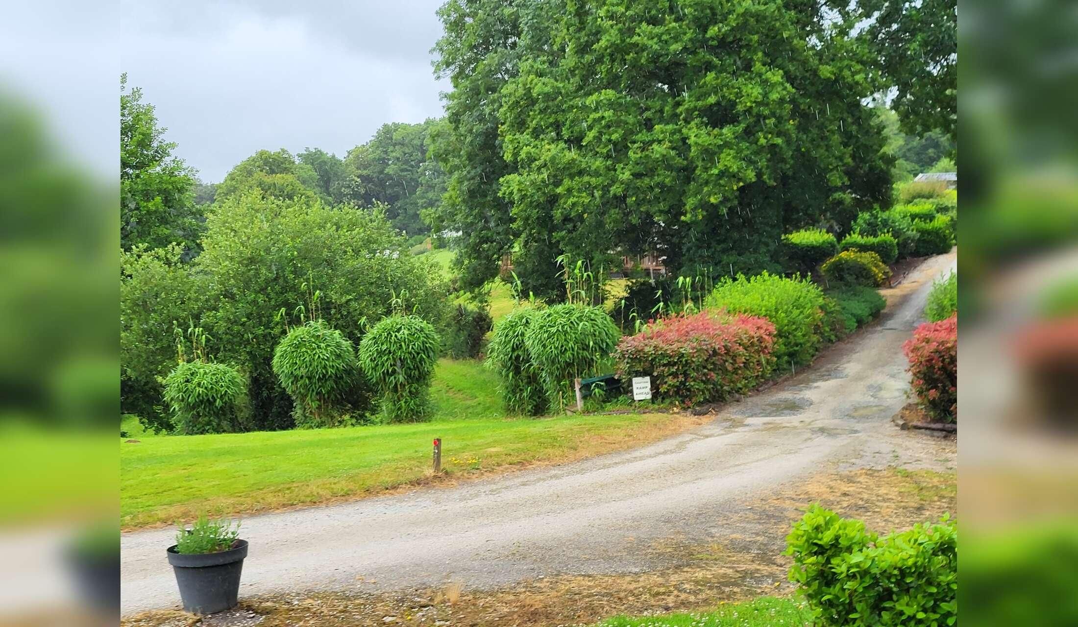 Sitter wanted for a beautiful part of rural France - Image 9