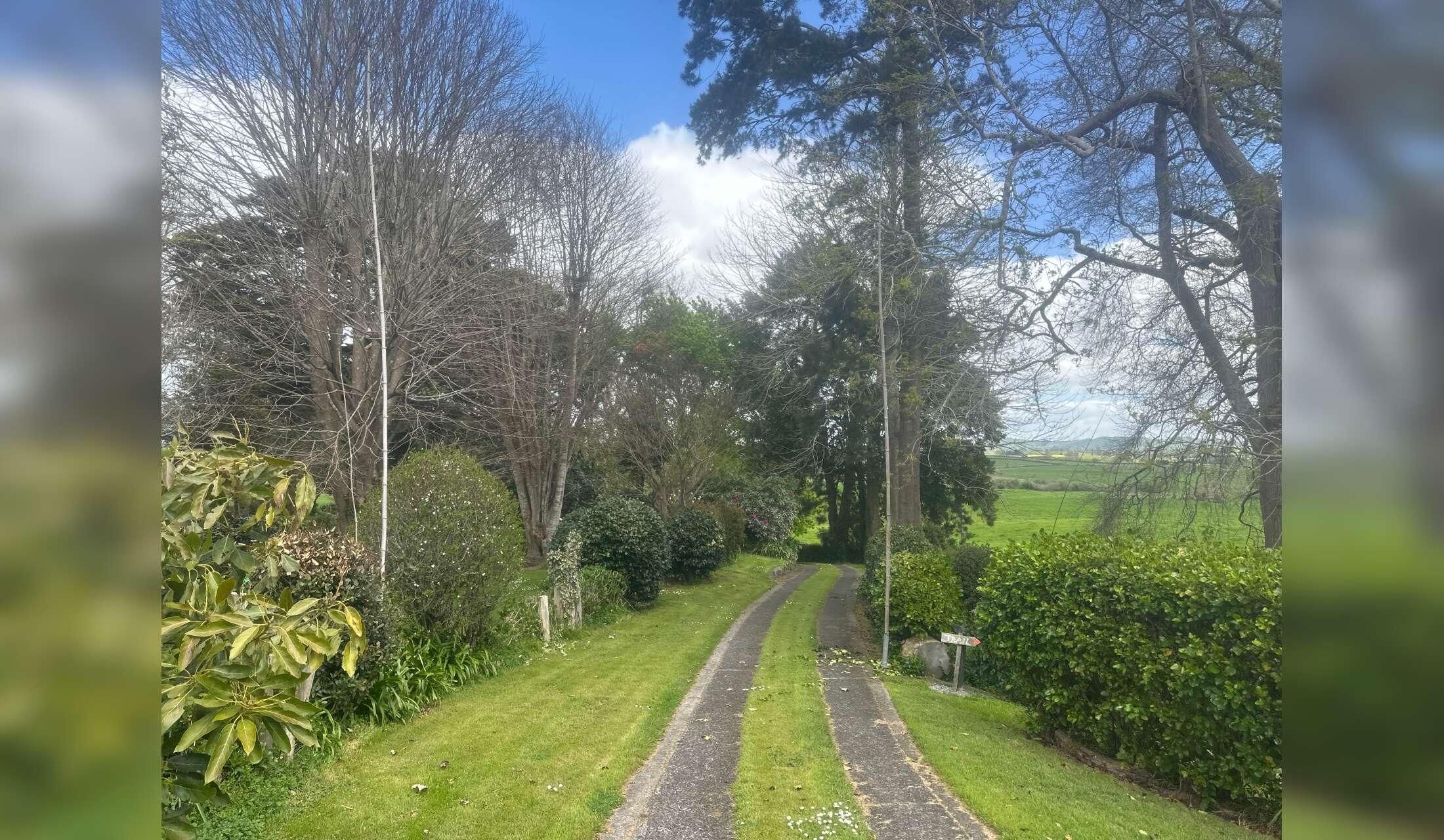 Sunningwood Homestead and garden Housesit - Image 3