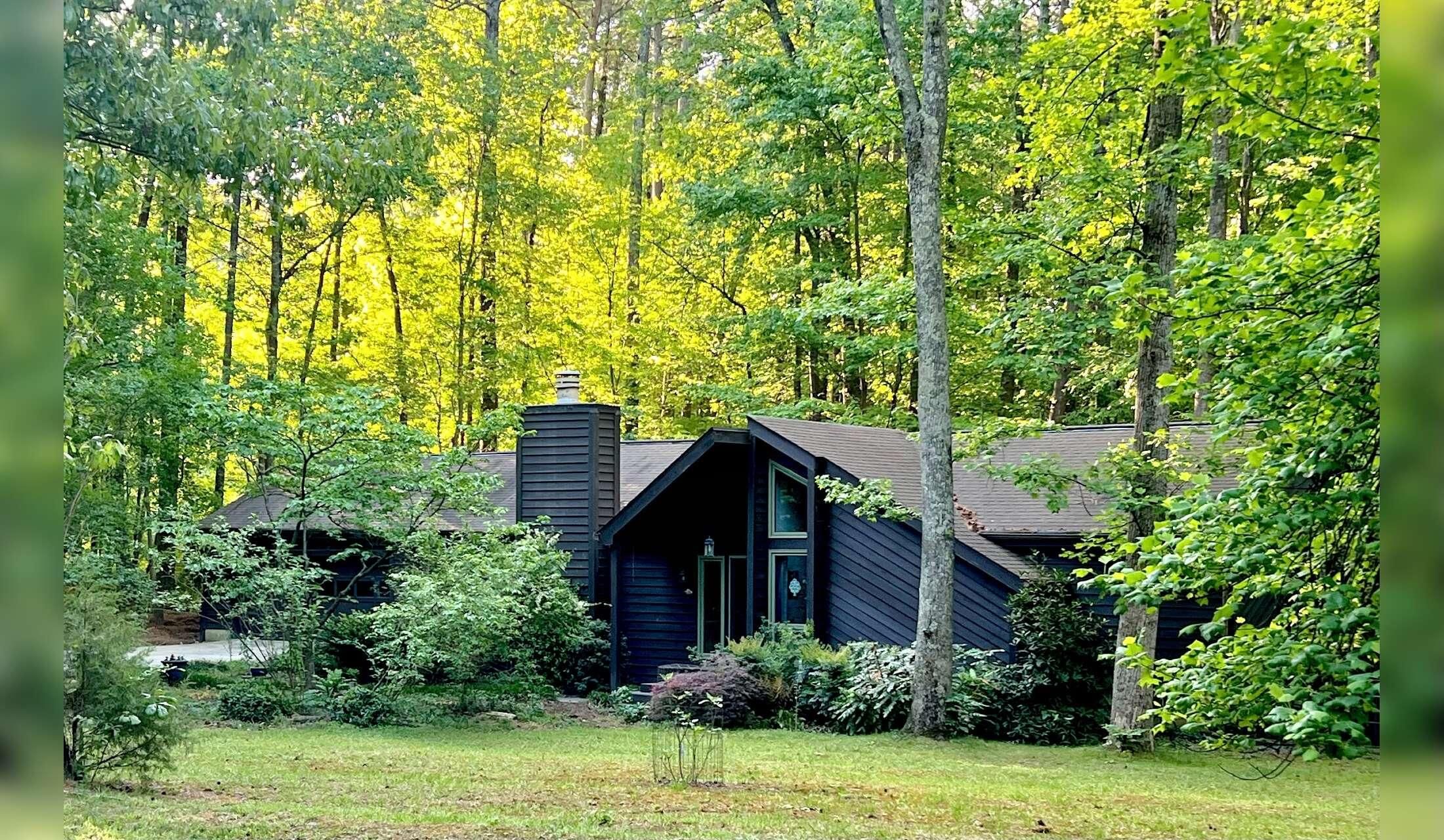 Need sitter for calm dog in Chapel Hill, North Carolina - Image 2