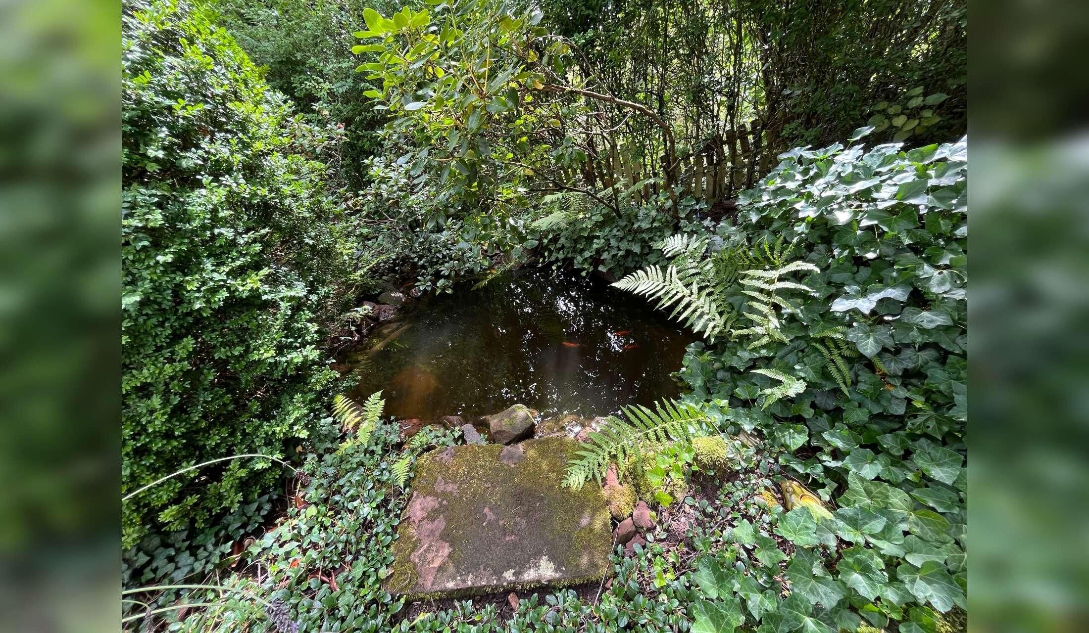 Have a good time in beautiful Palatinate Forest - Image 6