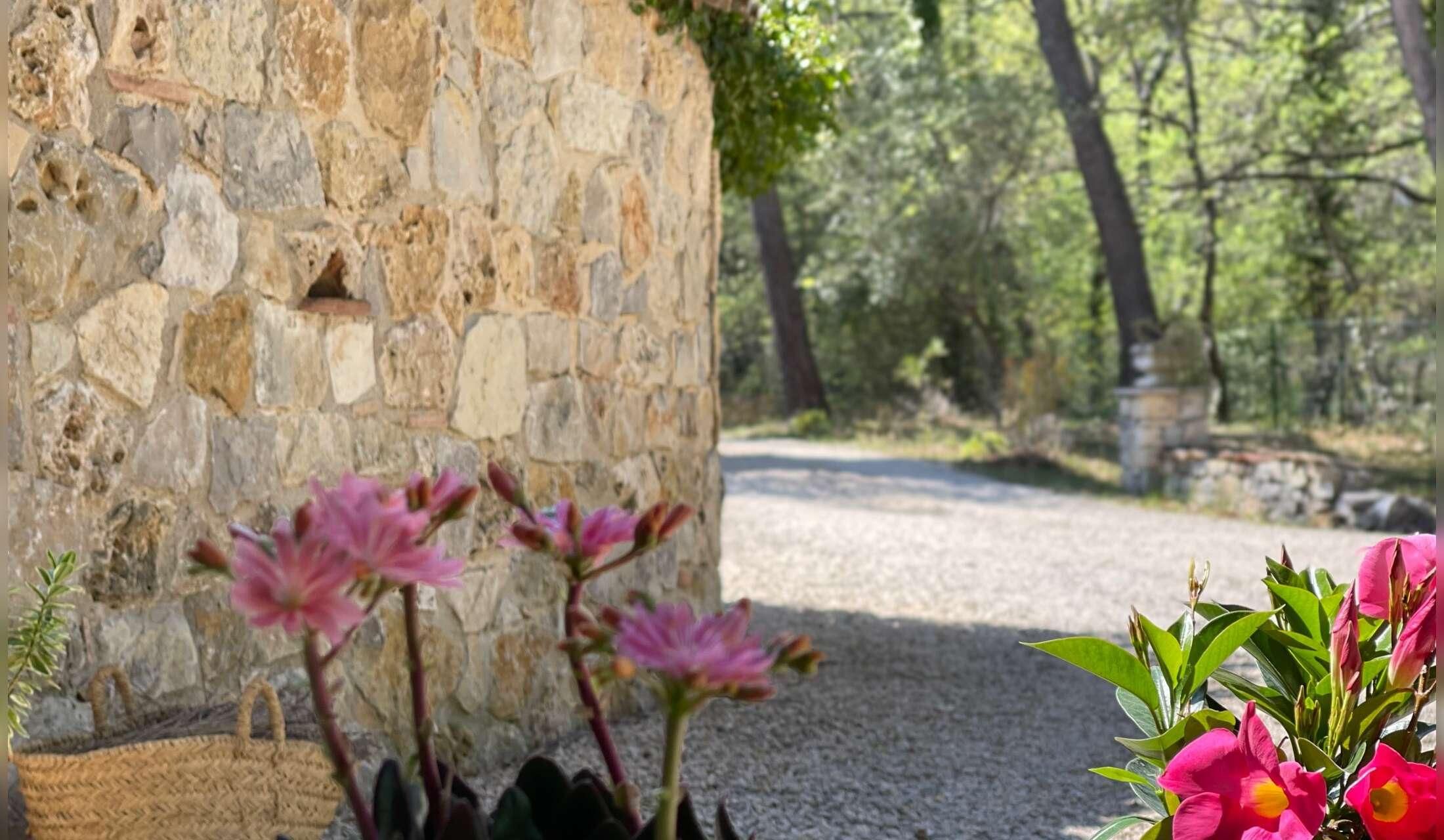 Provence French Riviera, dog in a house in the Var forest - Image 4