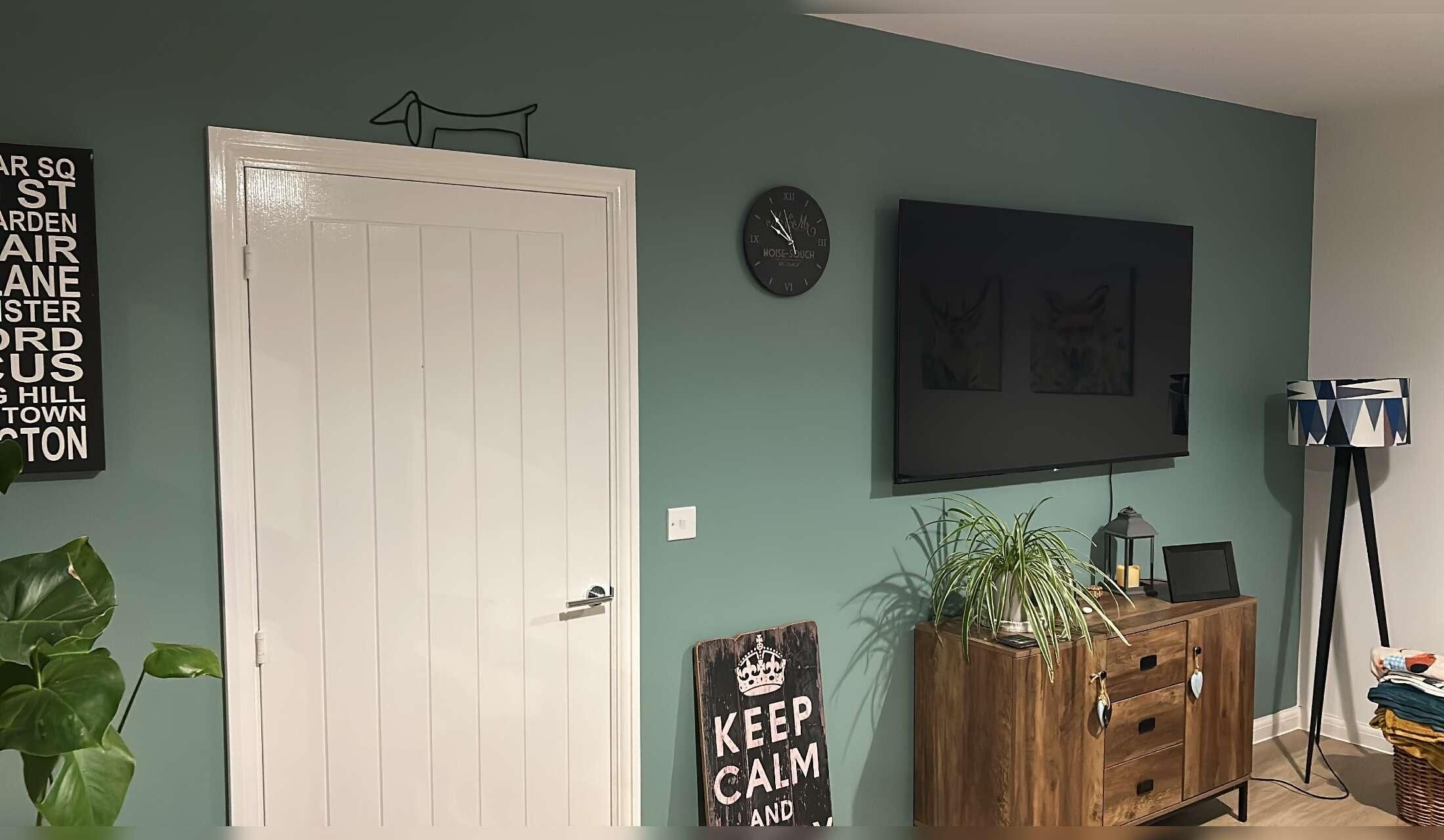 House sitting in Somerset - Image 9