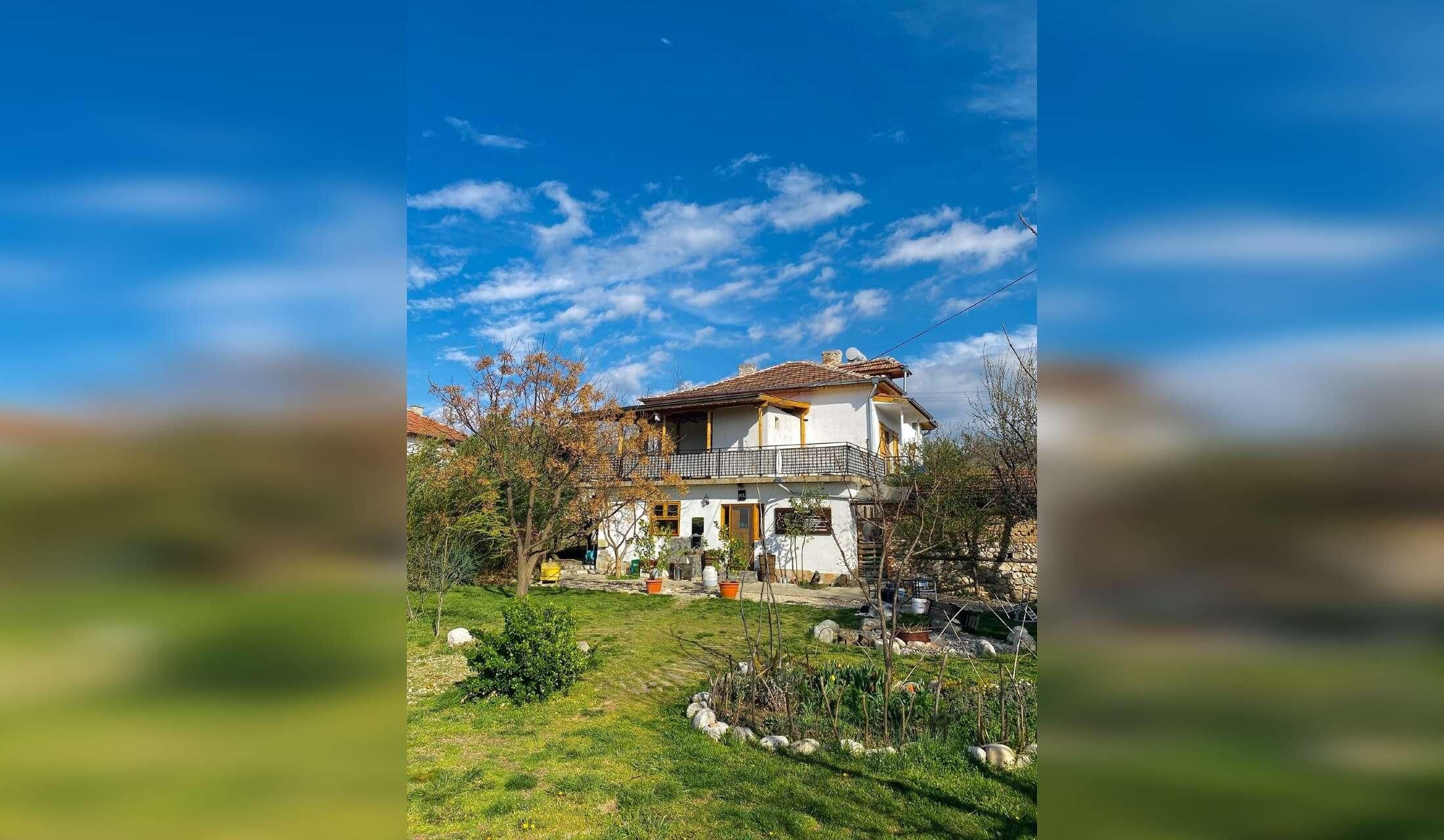 Rescue dogs and cats in rural Bulgaria