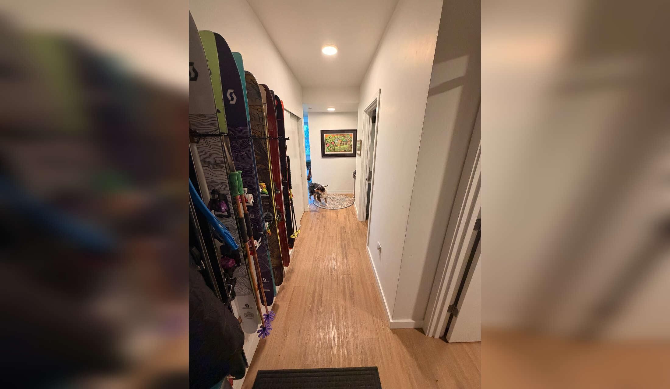Cute Aussie in bright apartment on Bend's westside - Image 5