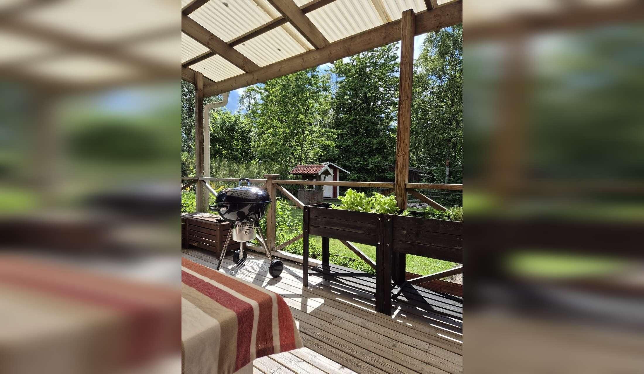 Traditional Swedish House (Golden Retriever + Cat) - Image 2