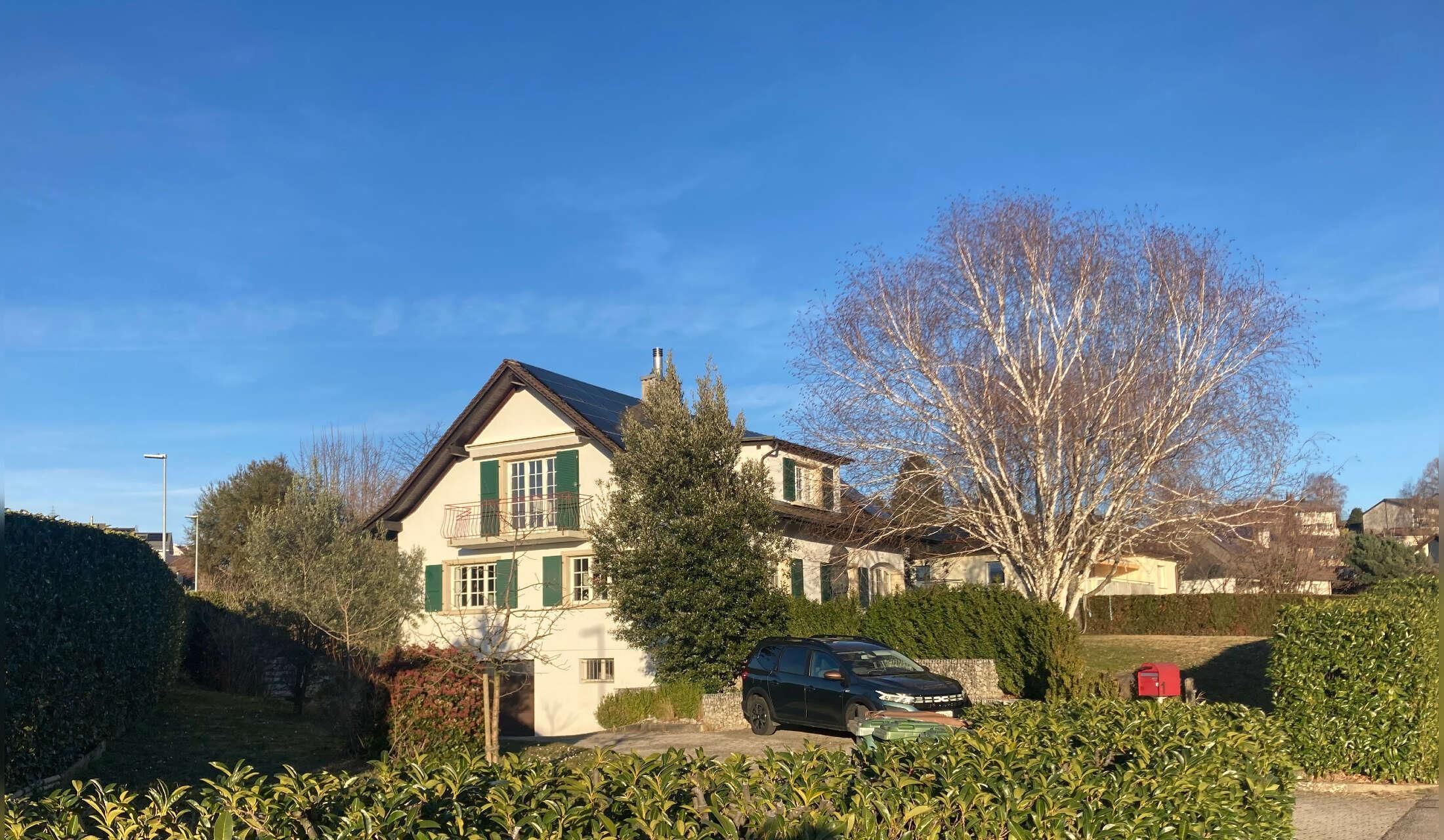 Cat Sitter Wanted: Cosy October Stay (2 weeks) in Our House near Lausanne - Image 5