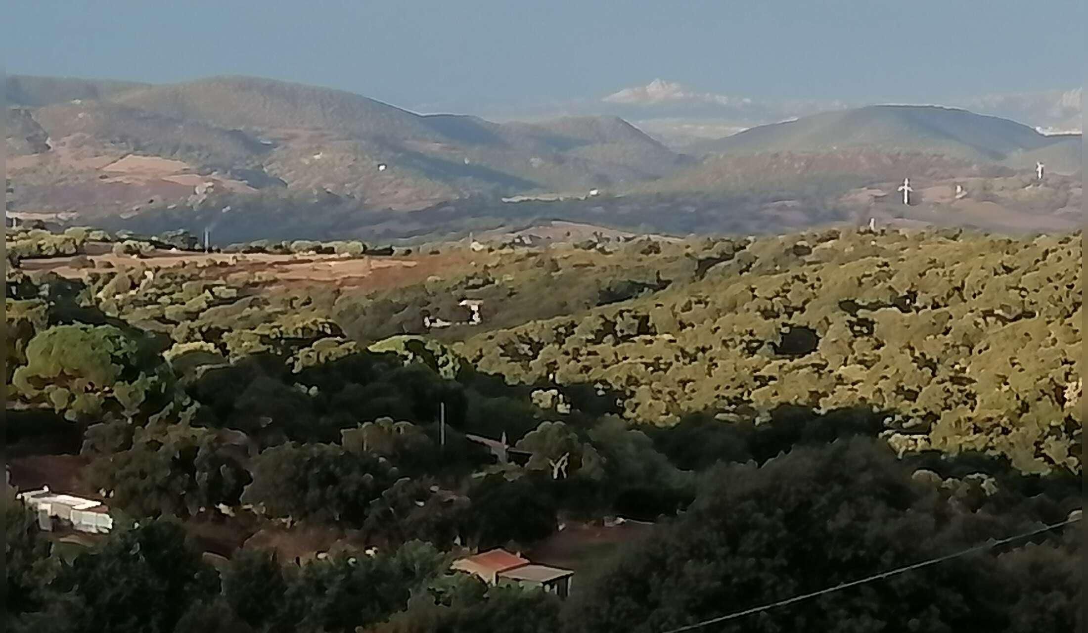 A country Italian house in Luras Sardegna, beautiful views, small vinyard, fruit trees etc. It is very close to the town of Luras, 30 minutes to Olbia, Arzachena and the Costa Smeralda it A great place to be to explore the Island.. - Image 5