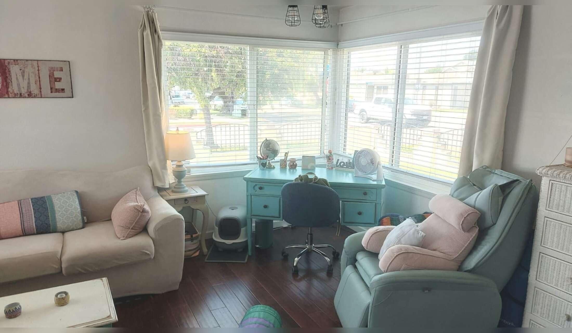 San Diego opportunity - 2 beautiful, easy kitties in bright, beautiful studio apt in convenient, walkable downtown Chula Vista - Image 4