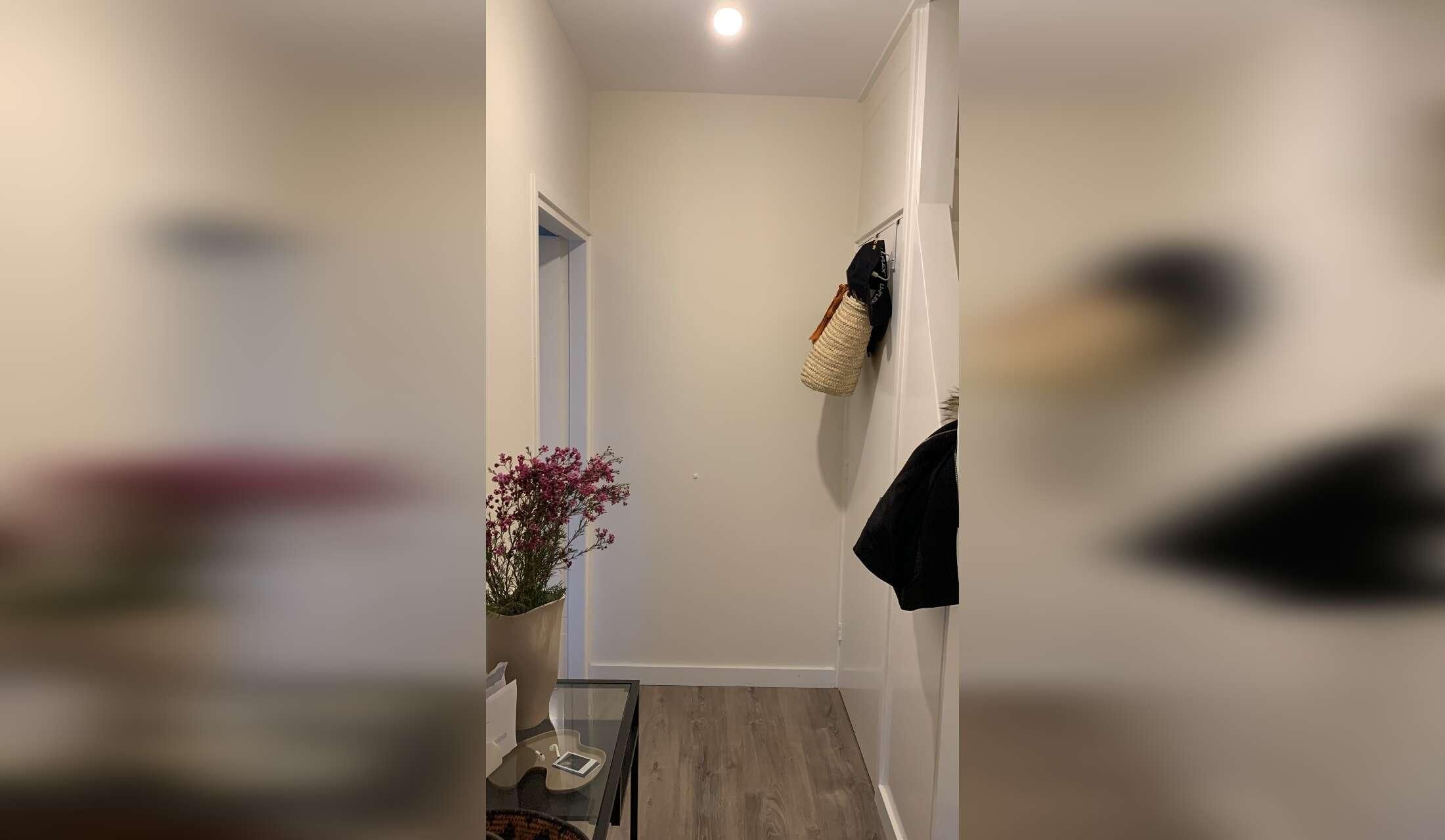 Pet & House sitter needed - Bussum - Image 6