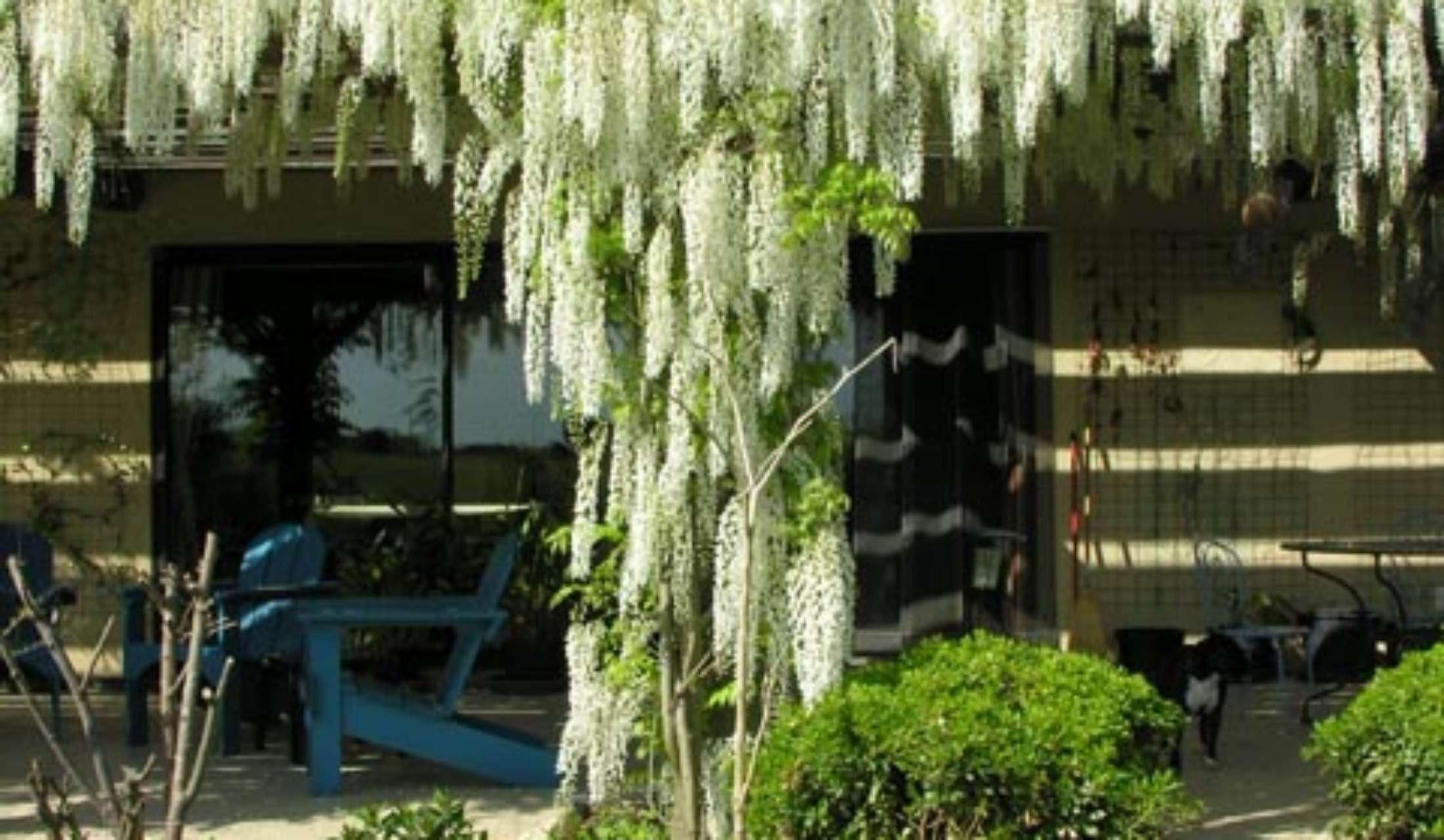 Gascony - Glorious food and wine - Image 2