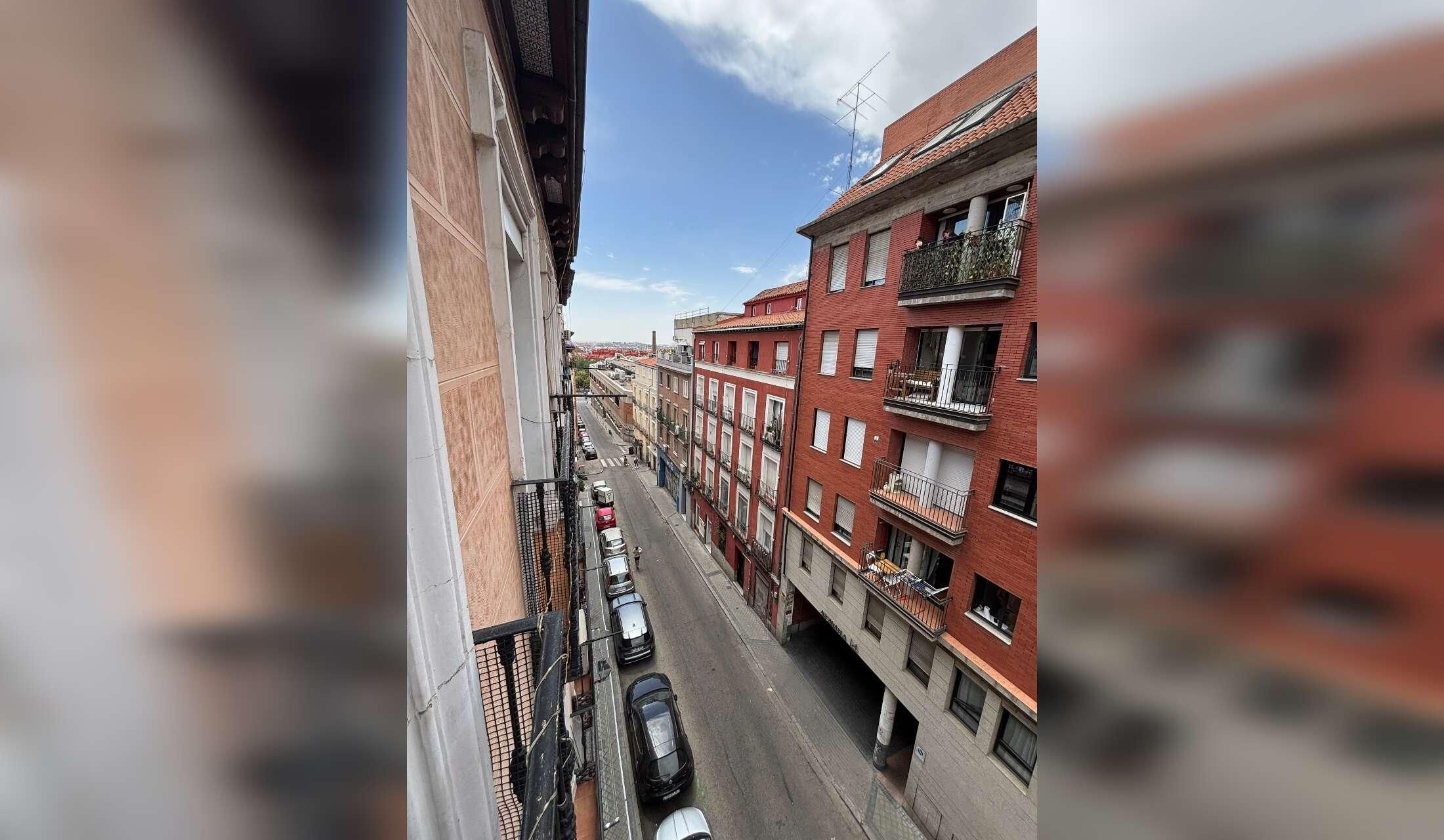 House & Cat Sitting in Madrid, Spain – 2 Cats, 12 Weeks - Image 3