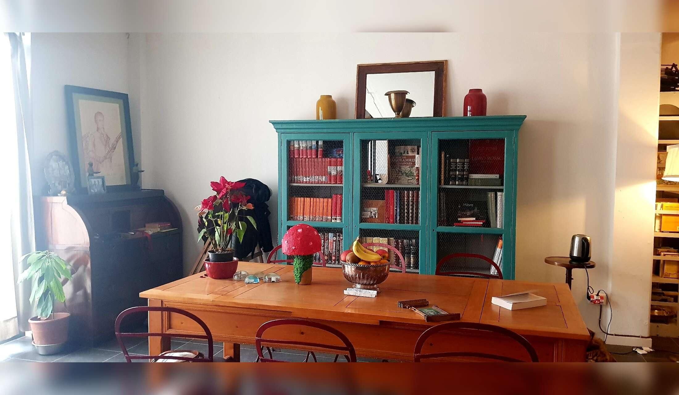 Enjoy fabulous Lucca in Tuscany with two beautiful German shepherds, in a big apartment in front of its famous walls - Image 2