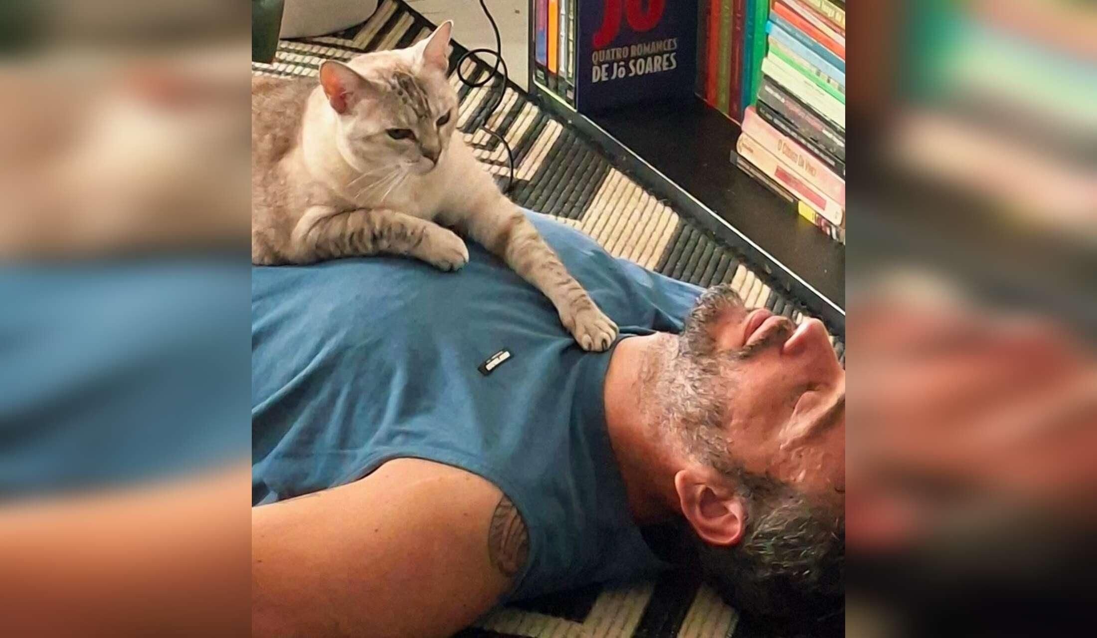 Devoted cat family sitter. Your kitty's best friend while you're away - Image 7
