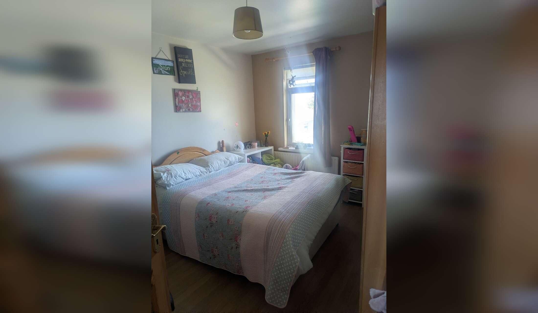 Looking for a house and pet sitter near the beach in Connemara, Ireland - Image 4