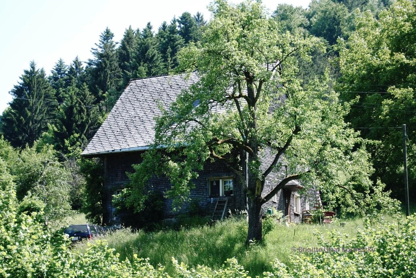 CHARMING FARM HOUSE & CAT SIT, Oct 28, 2026 to Mai 8, 2027