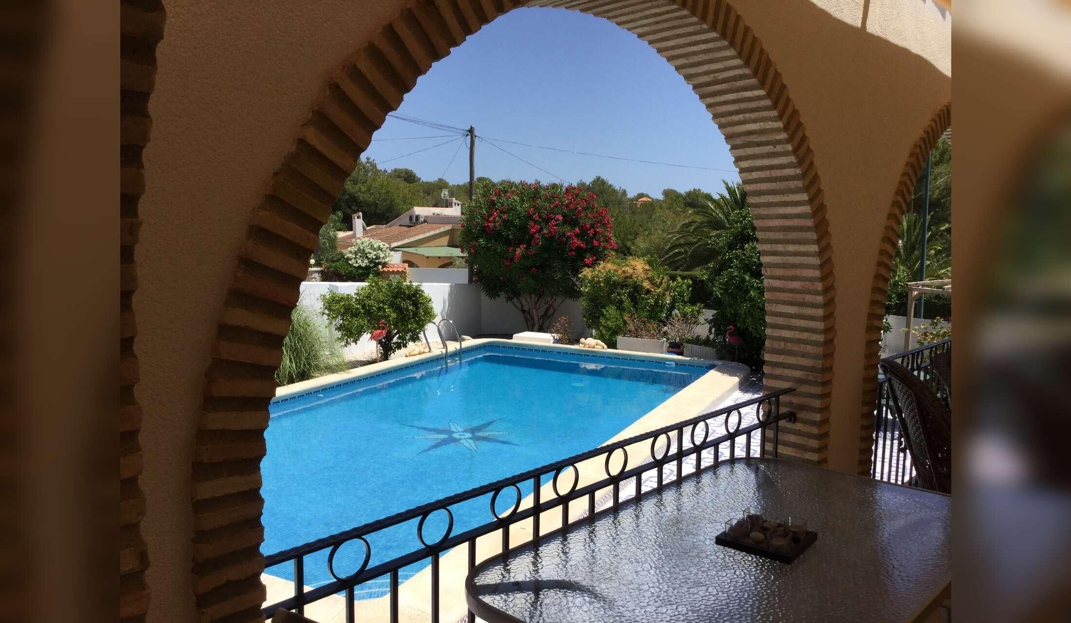 Costa Blanca kitties in comfy villa need replacement staff! - Image 5