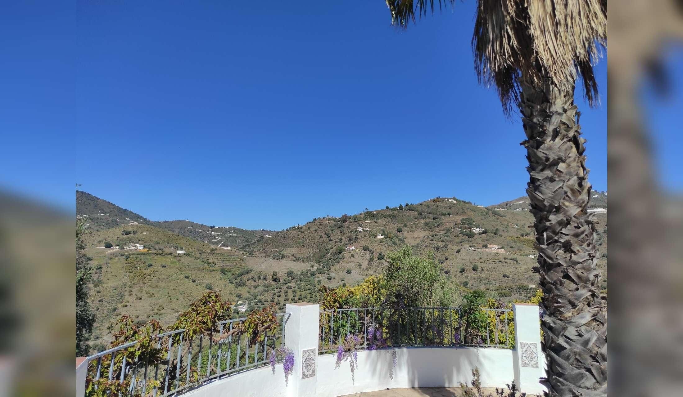 Private hillside 2 acre house 20 minutes from the sea and Tejeda National Park in southern Spain - Image 8
