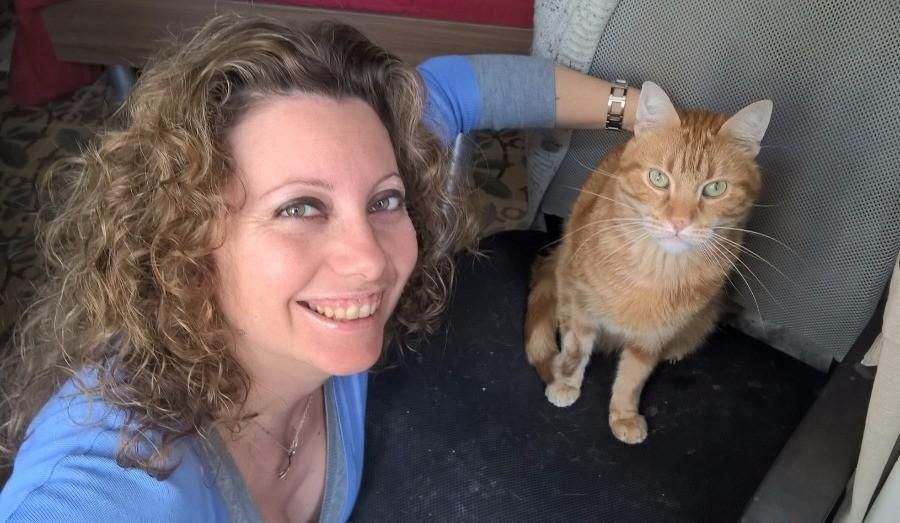 Christmas 2026 on the Mediterranean island of Malta with Misu the ginger cat. Dates to be agreed.GENUINE CAT LOVERS ONLY PLEASE :)