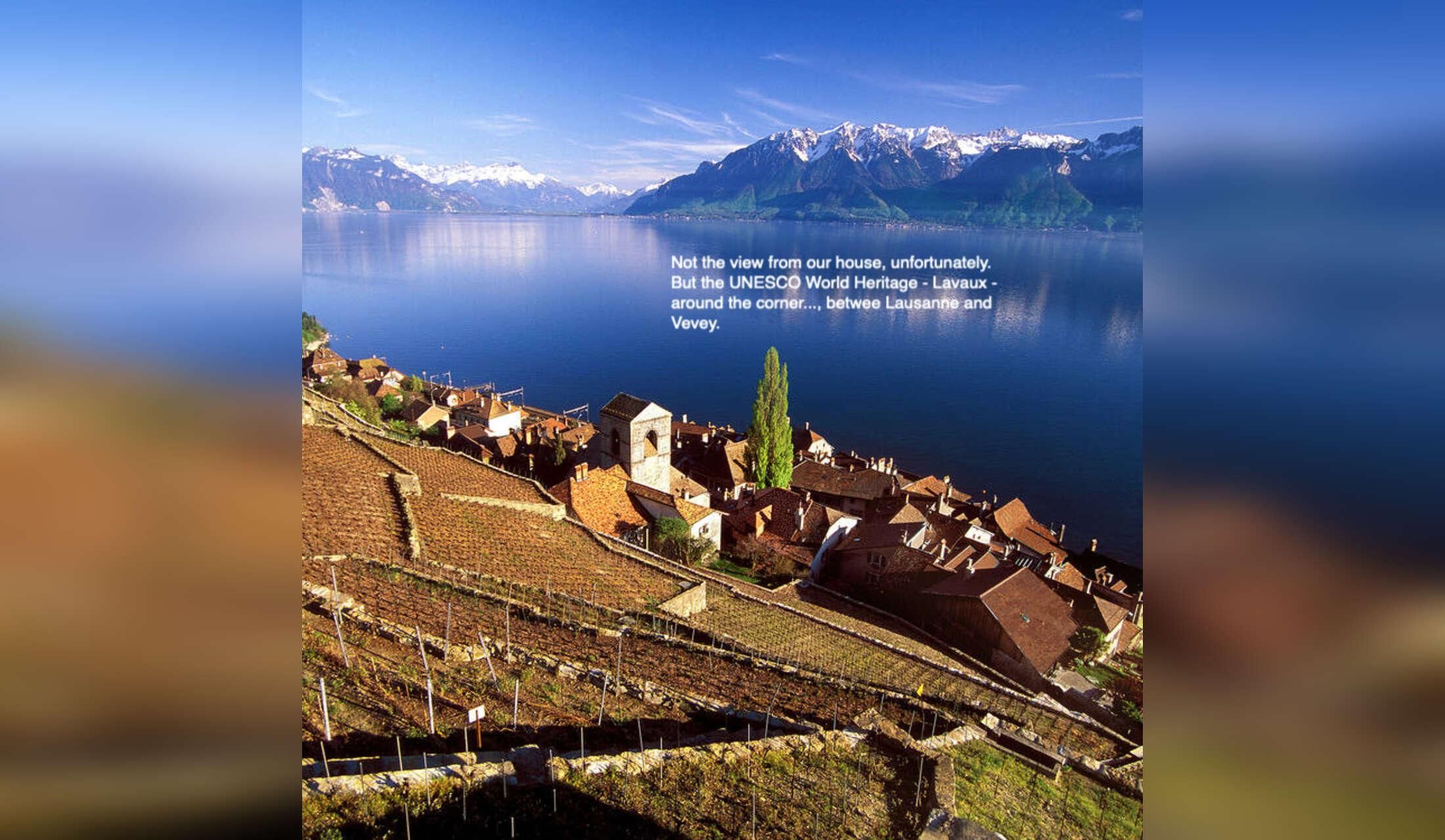Cat Sitter Wanted: Cosy October Stay (2 weeks) in Our House near Lausanne - Image 9
