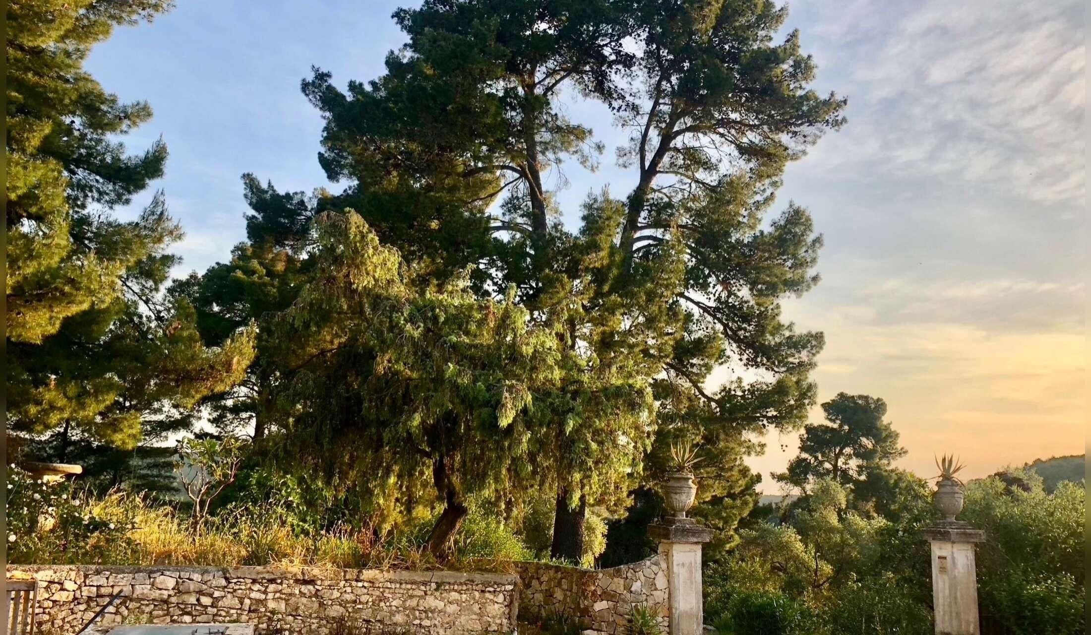 An old villa immersed in the National Park, 5’ from the sea - Image 6