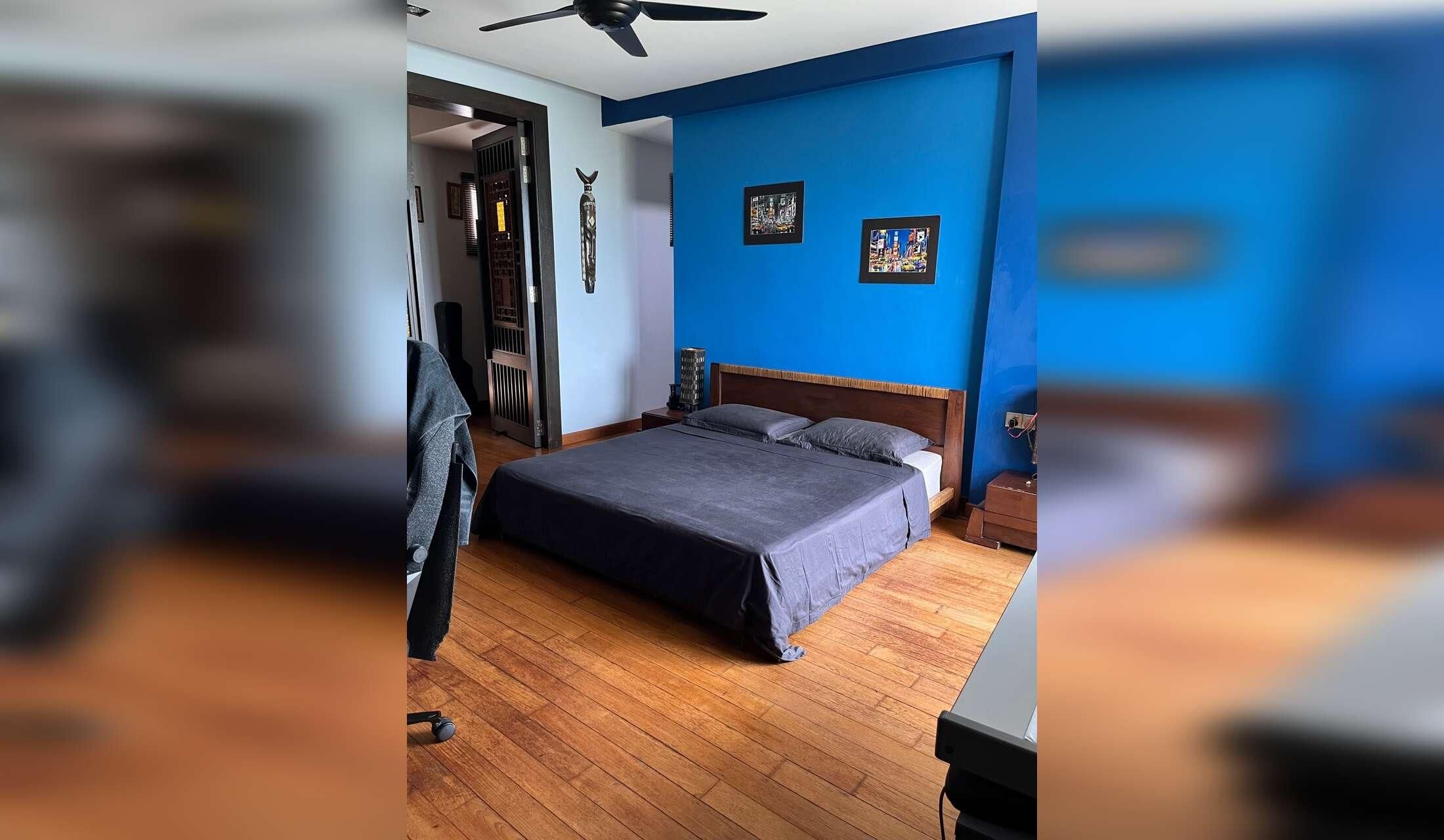 Cat lovers needed for beachfront condo - Image 9