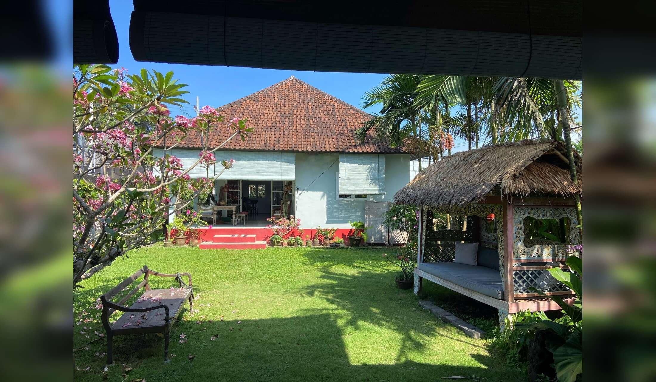 I’m looking for a kind, trustworthy, and responsible person to lovingly take care of my three dogs in Bali while I’m away - Image 5