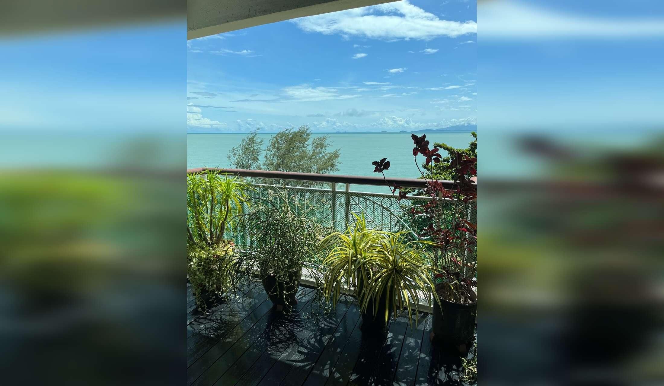 Cat lovers needed for beachfront condo