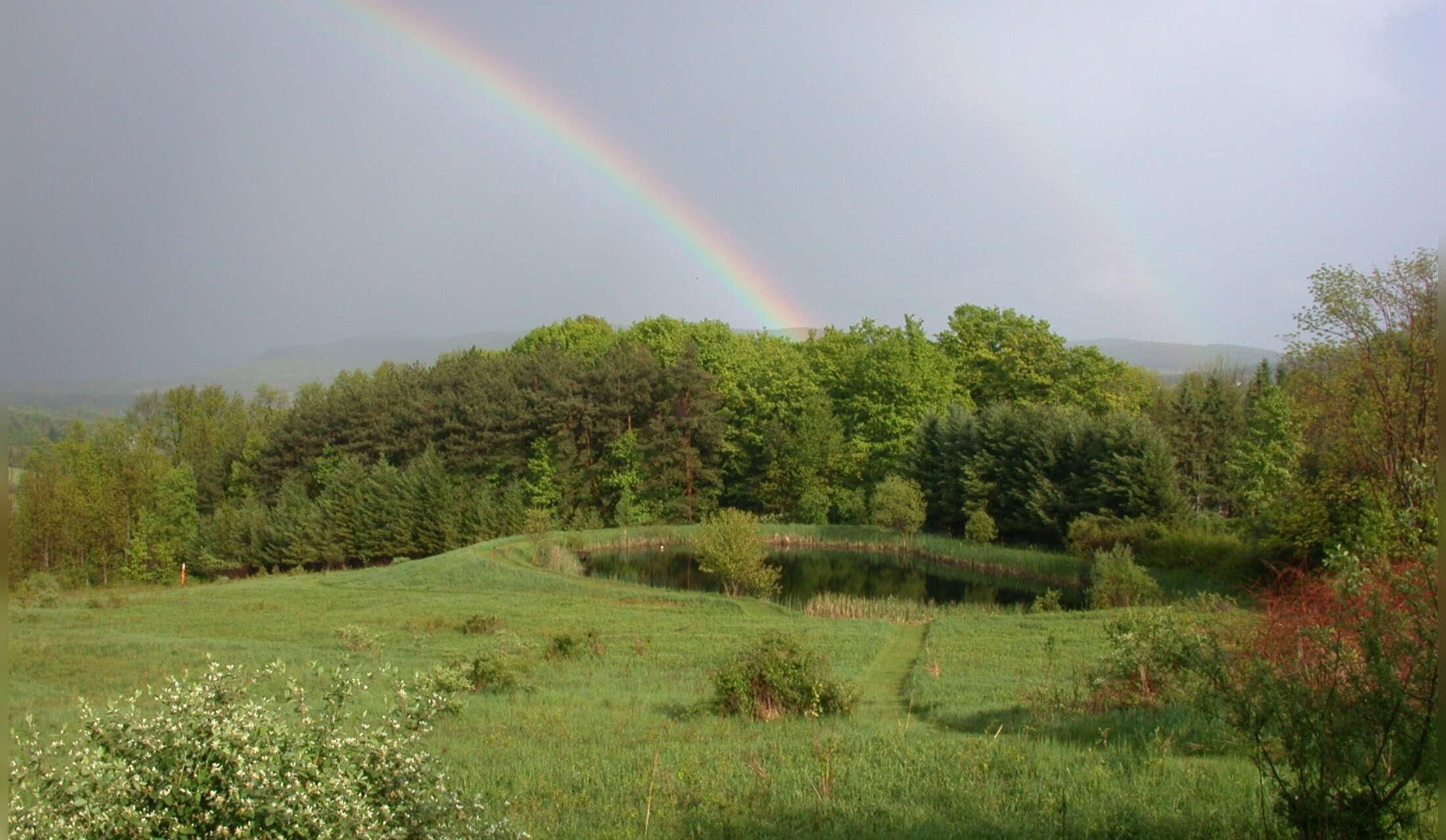 Summer Home in Ithaca NY - Image 2