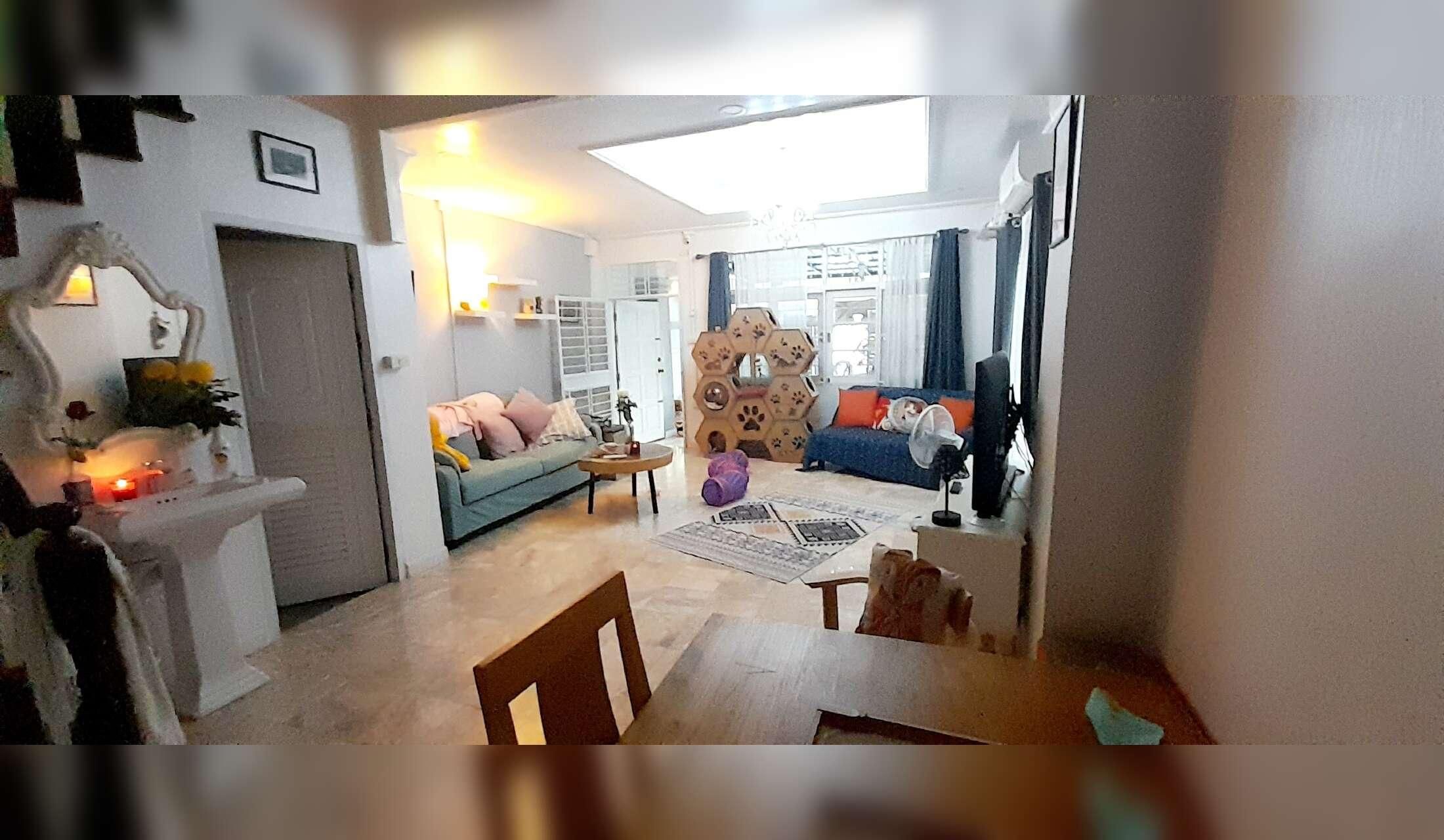 Fancy Xmas in Bangkok? Cats, fish, plants and house sitter wanted Sukhumvit 101, Bangkok - Image 6