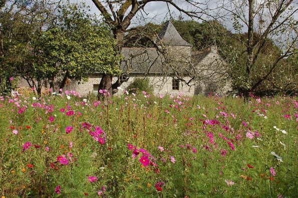 Mature Married Couples or 2 Friends Needed at a Gorgeous Estate in Brittany, France anytime May 15, 2026 to June 15 and July 23 through November 30, 2026 for a 4-week commitment - Image 2