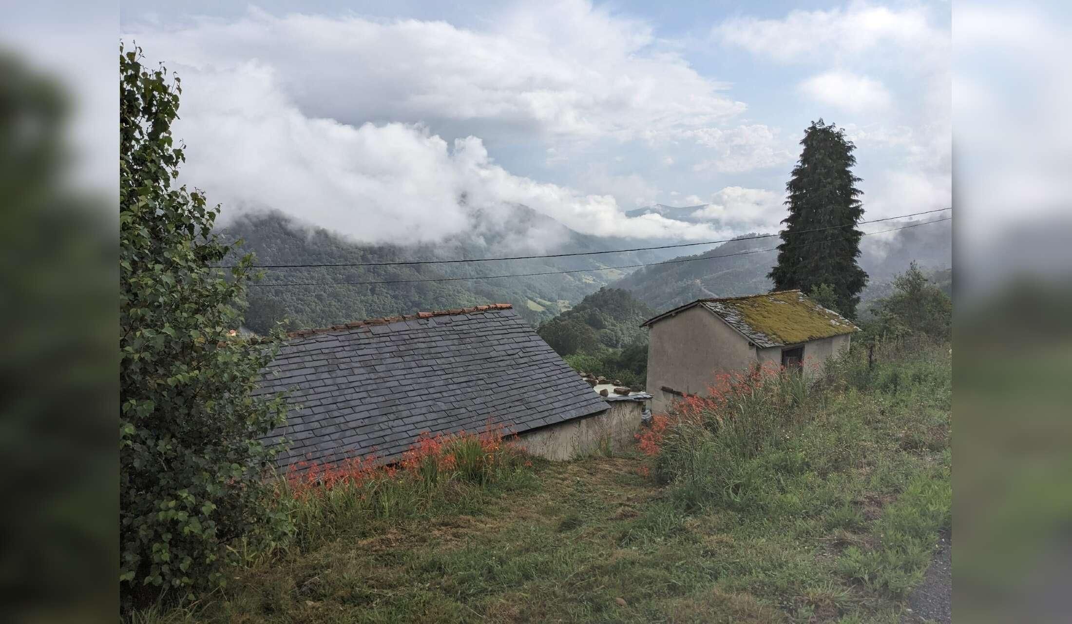 Cat sitting in the mountains