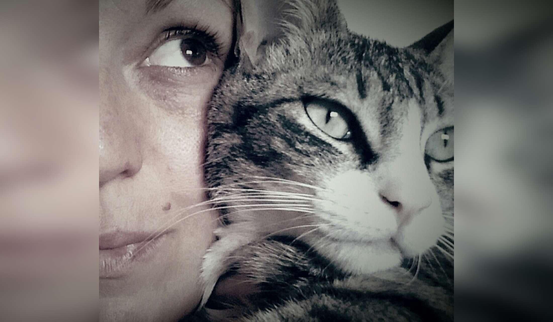 Looking after Herba, my cat, in the countryside of Asturias