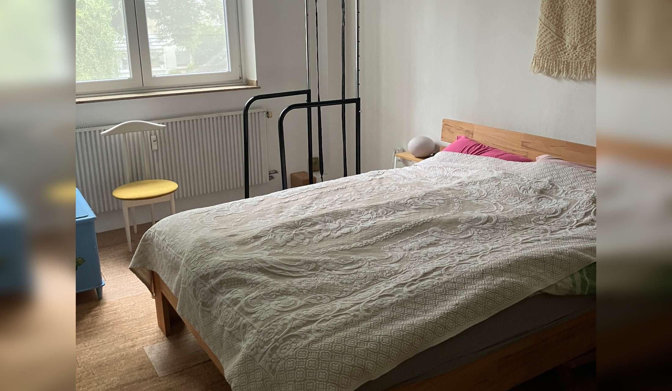 Three friendly indoor cats in spacious flat in Germany - Image 9