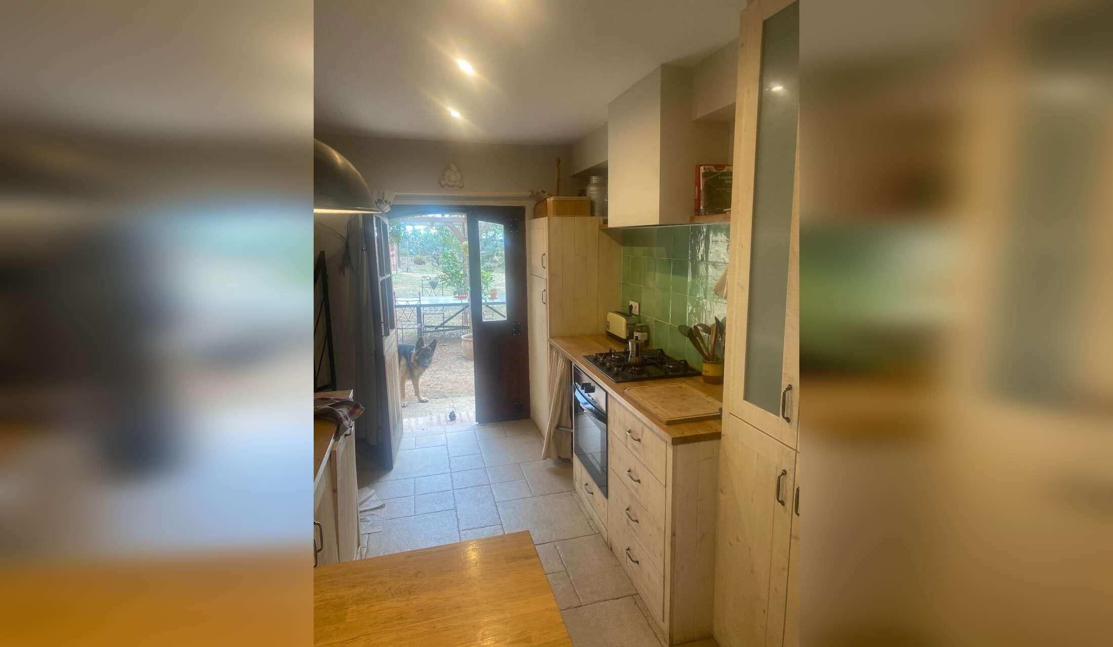 I am looking for animal lovers in a nature house near to France - Image 8