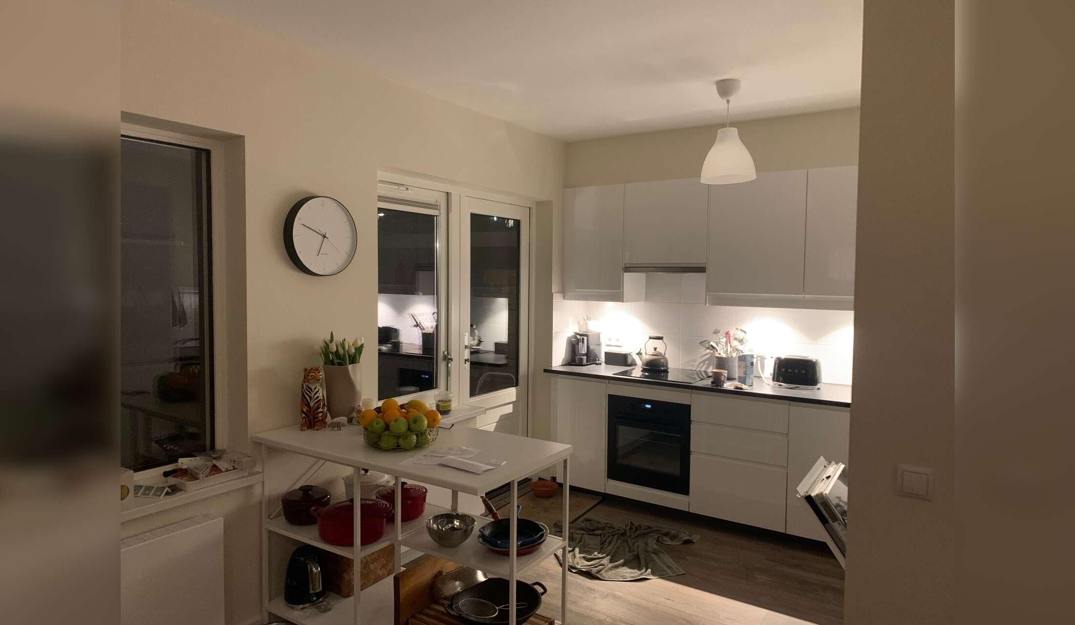 Pet & House sitter needed - Bussum - Image 3