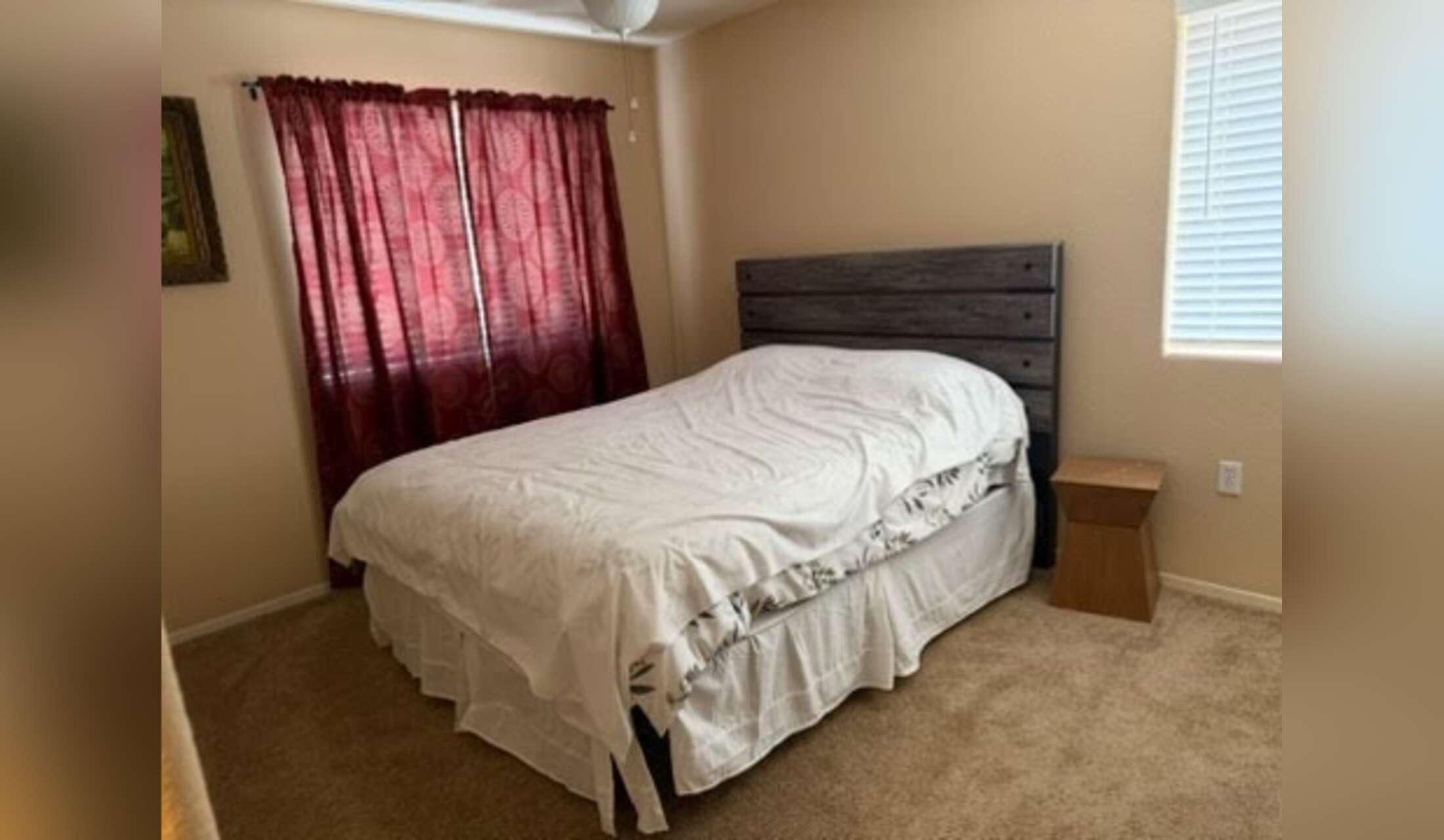 Quiet comfortable house sitter - Image 2
